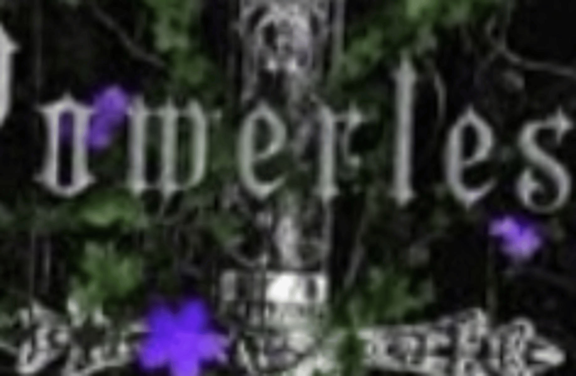 Azer Brothers