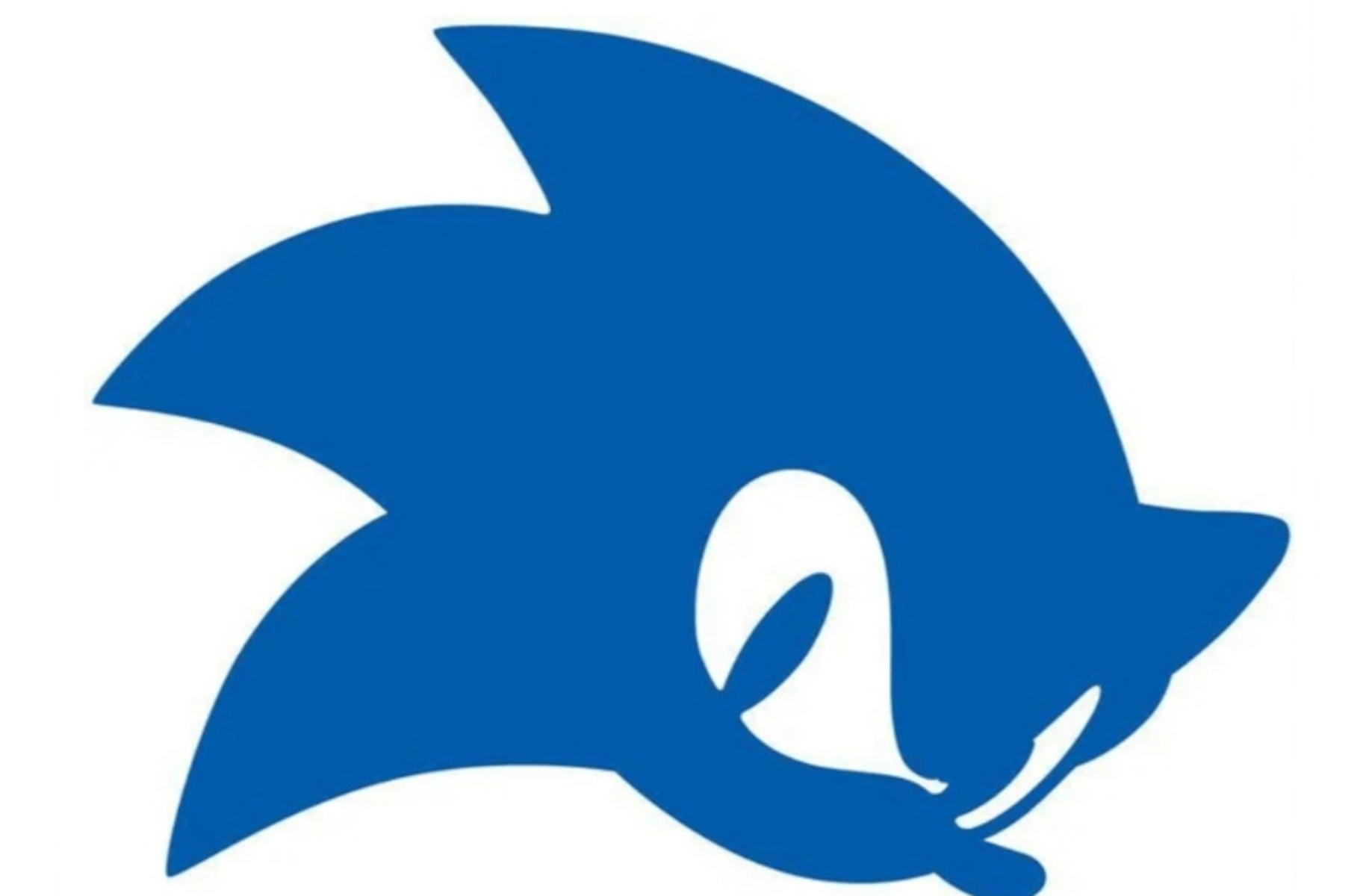 Sonic the hedgehog