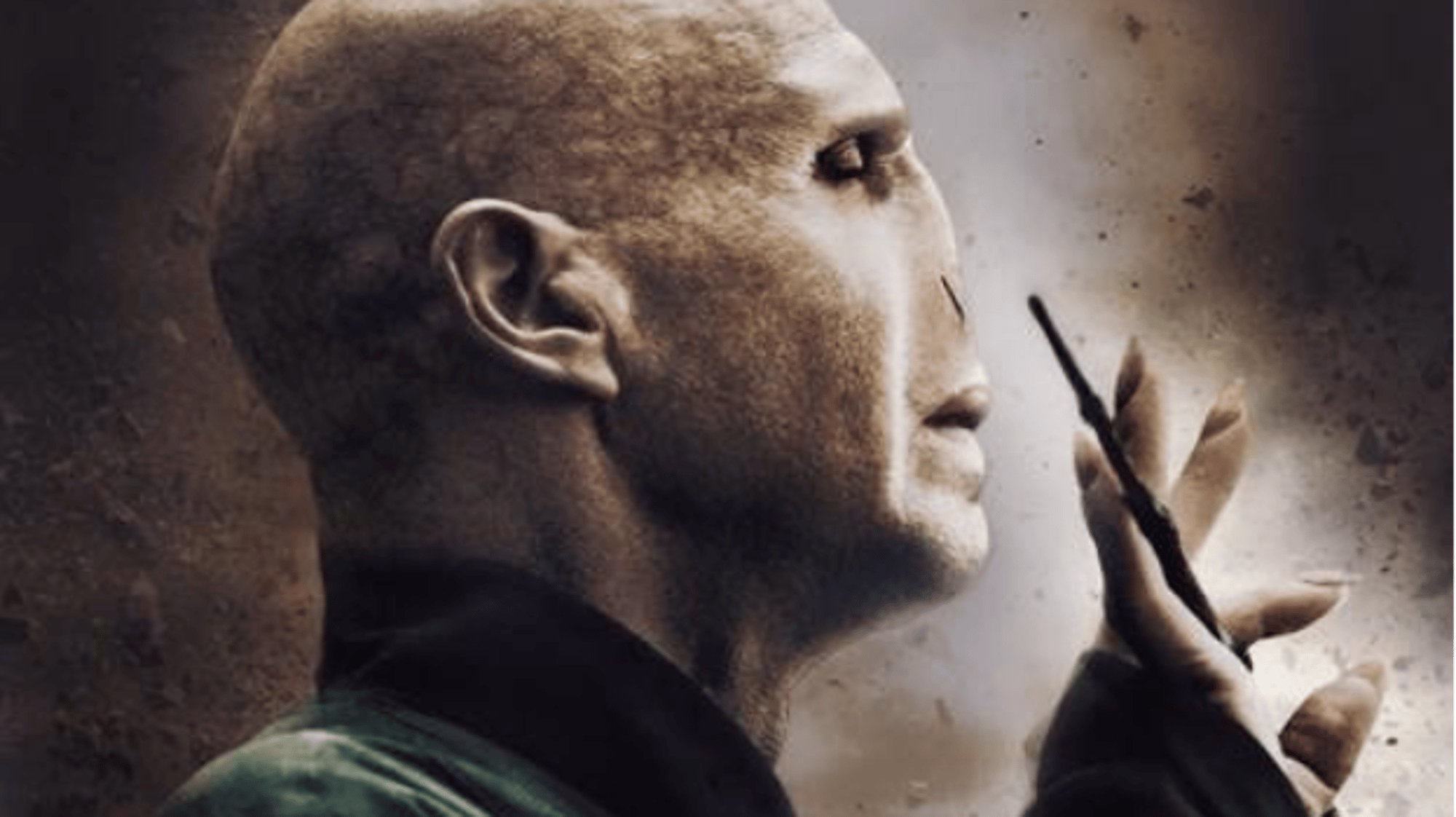 Voldemort by PM