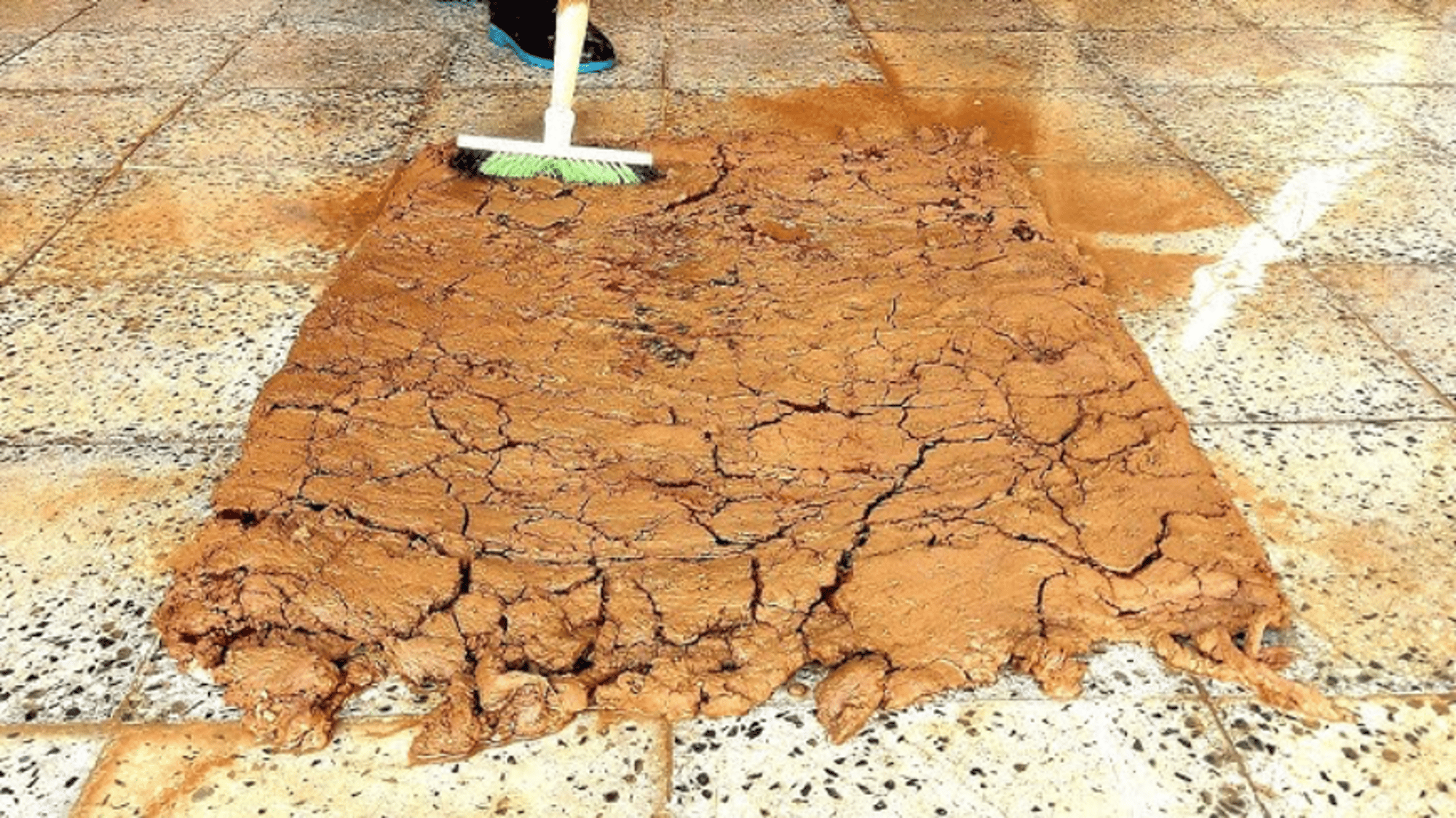 Rug cleaning abo fares