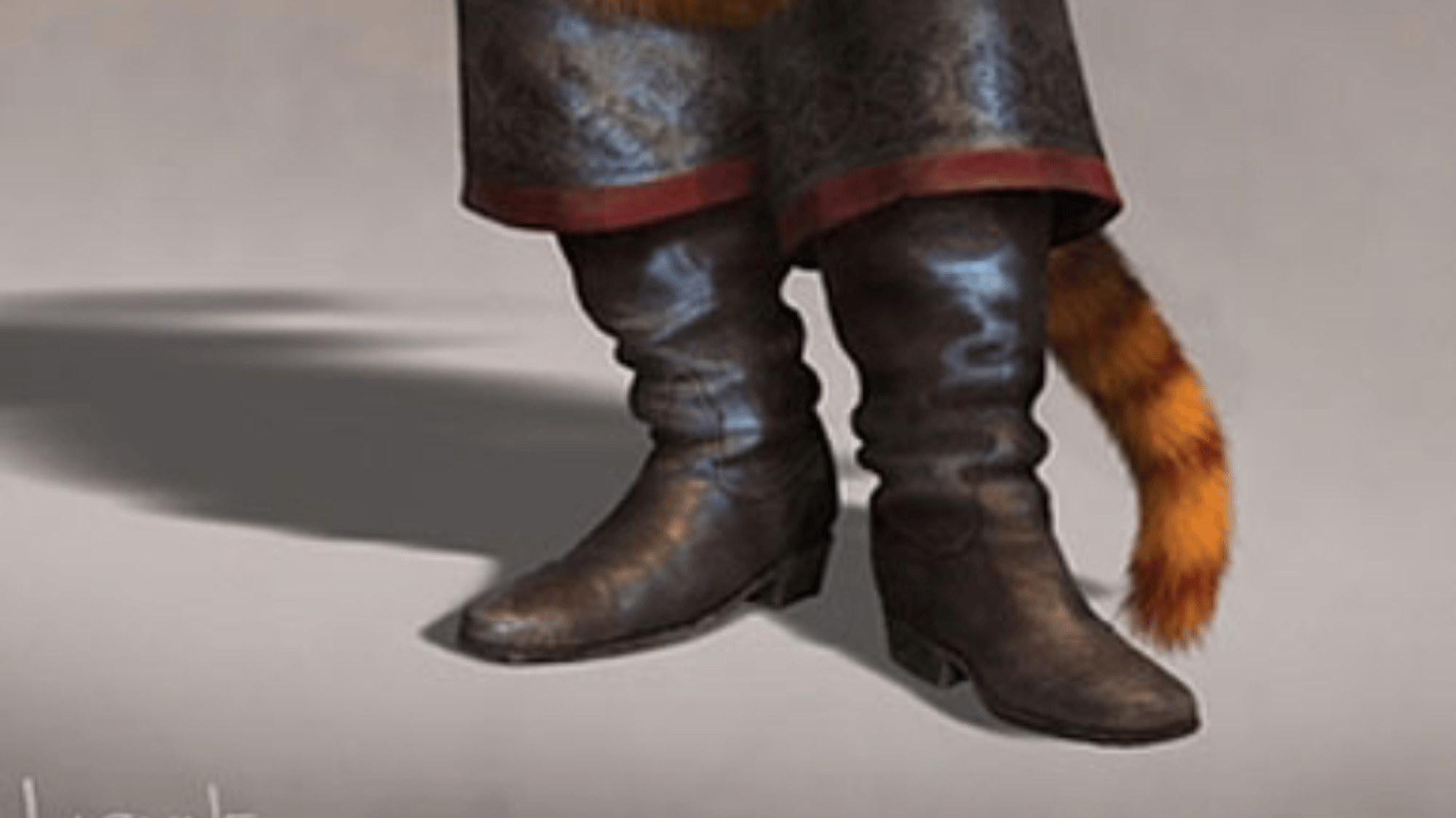 Pus in boots