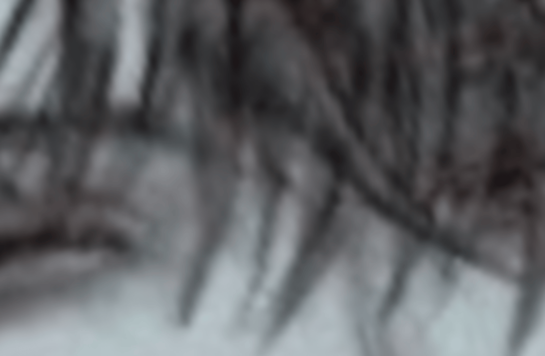Yunho