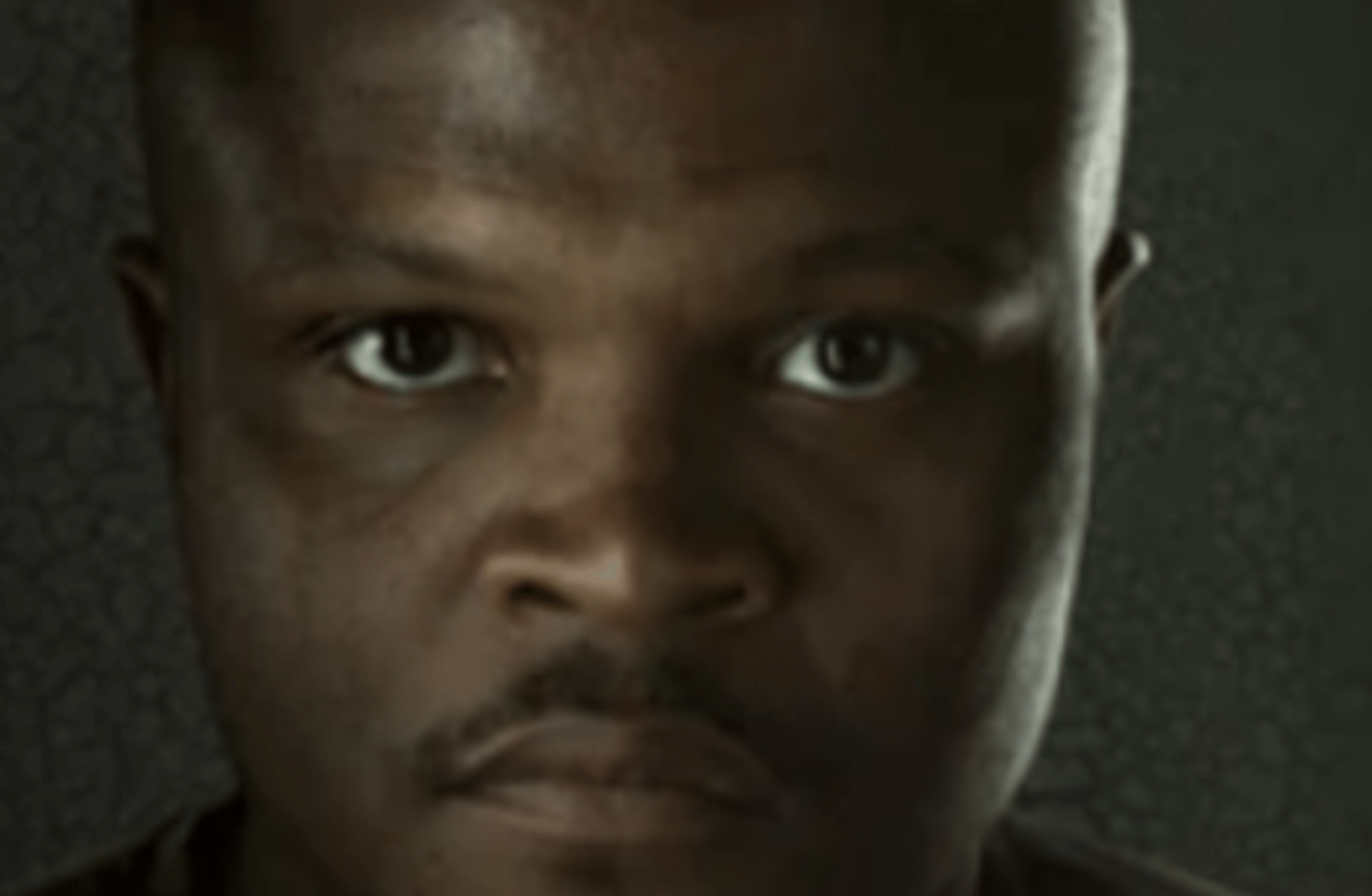 T-dog