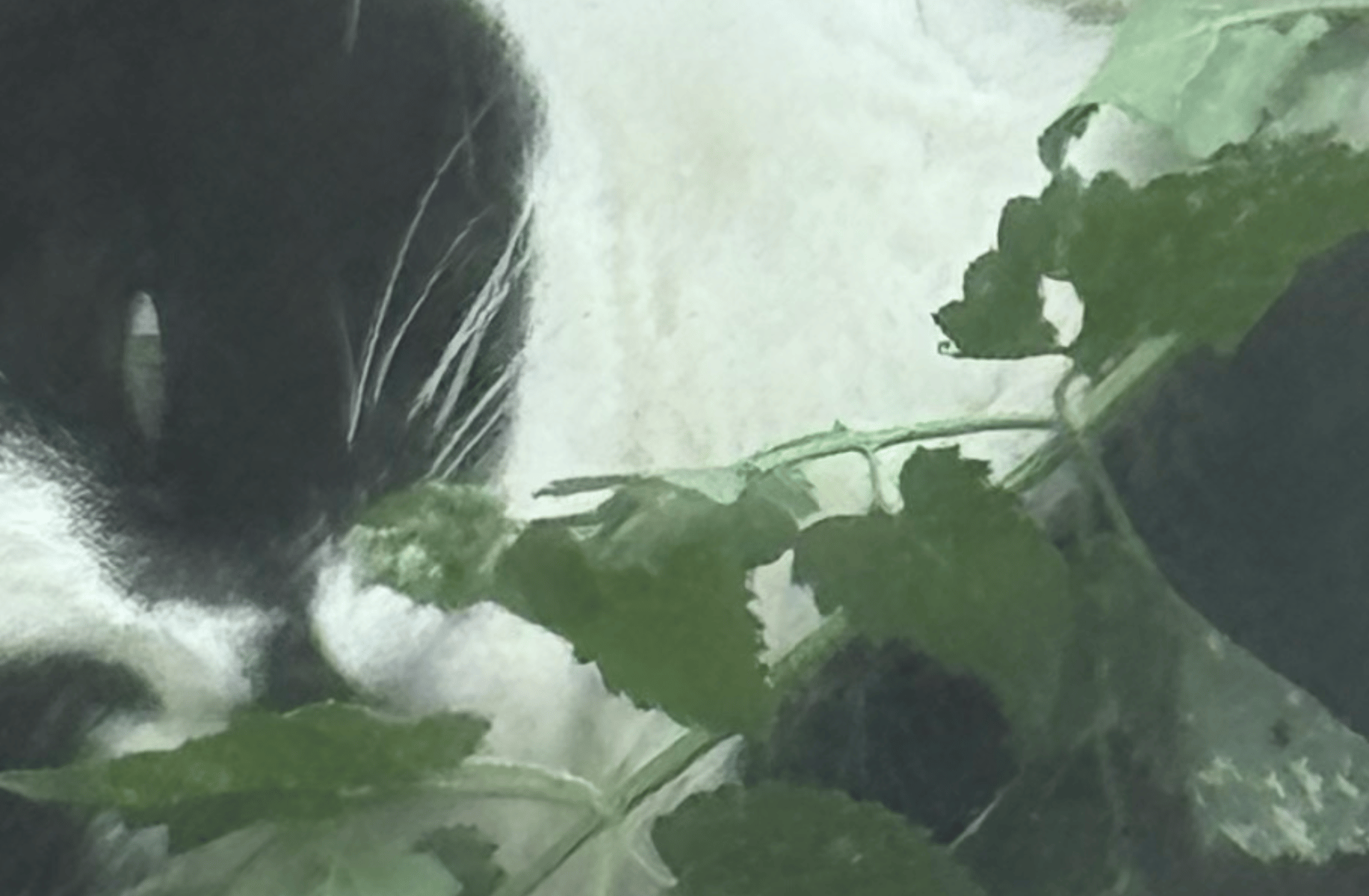 Eleanor. Jerry