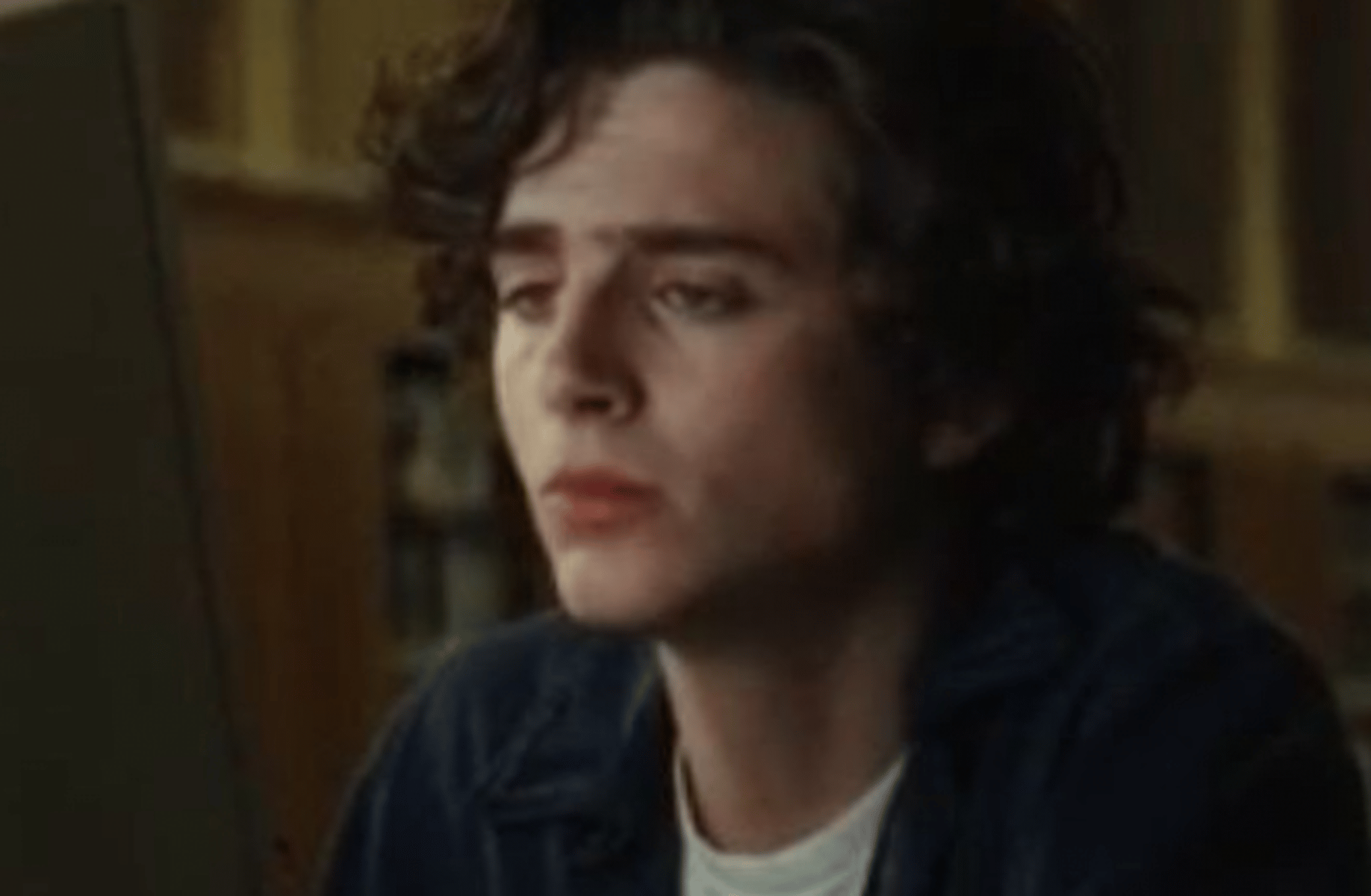 Timothee chalamet