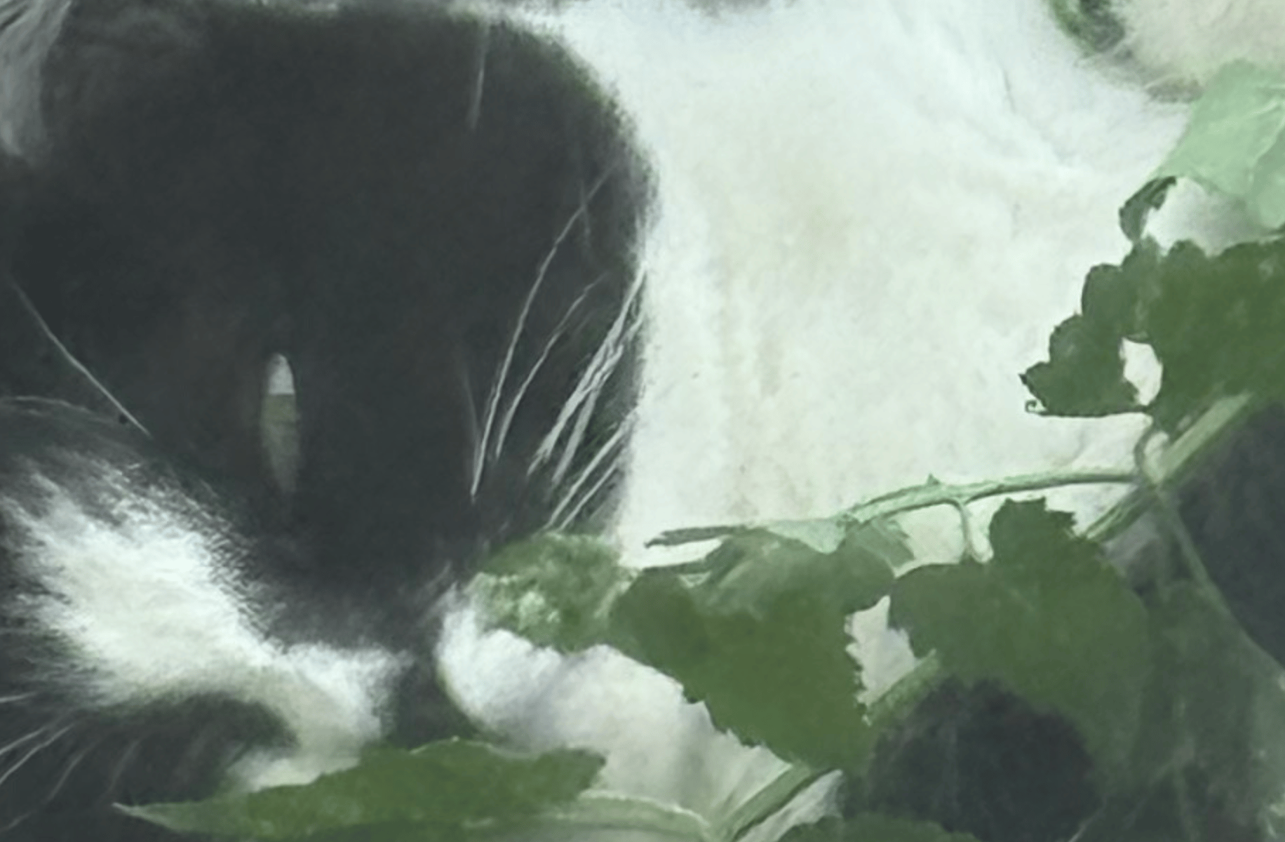 Eleanor