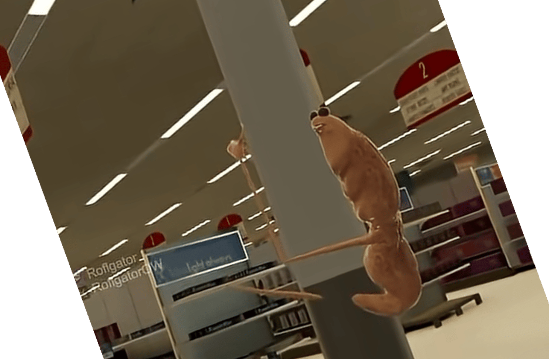 MARCUS THE WORM