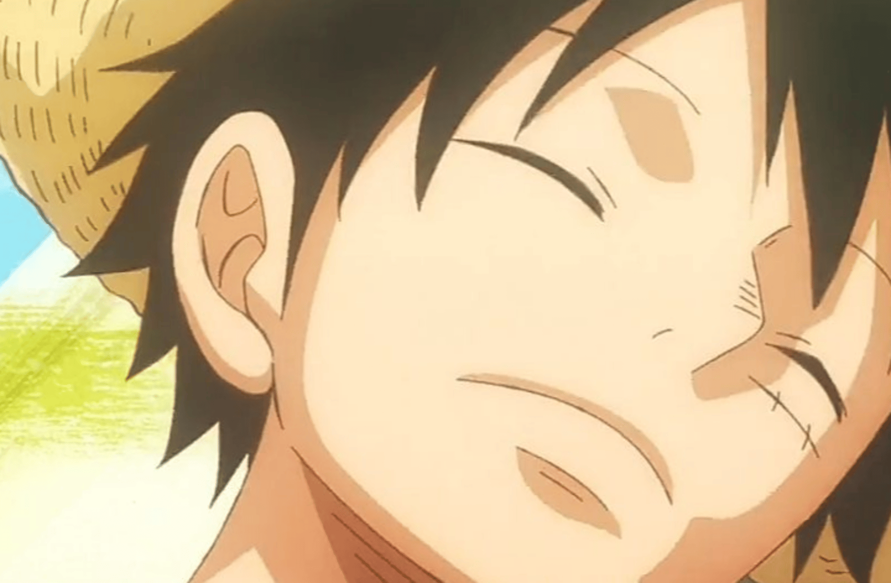 Monkey D Luffy