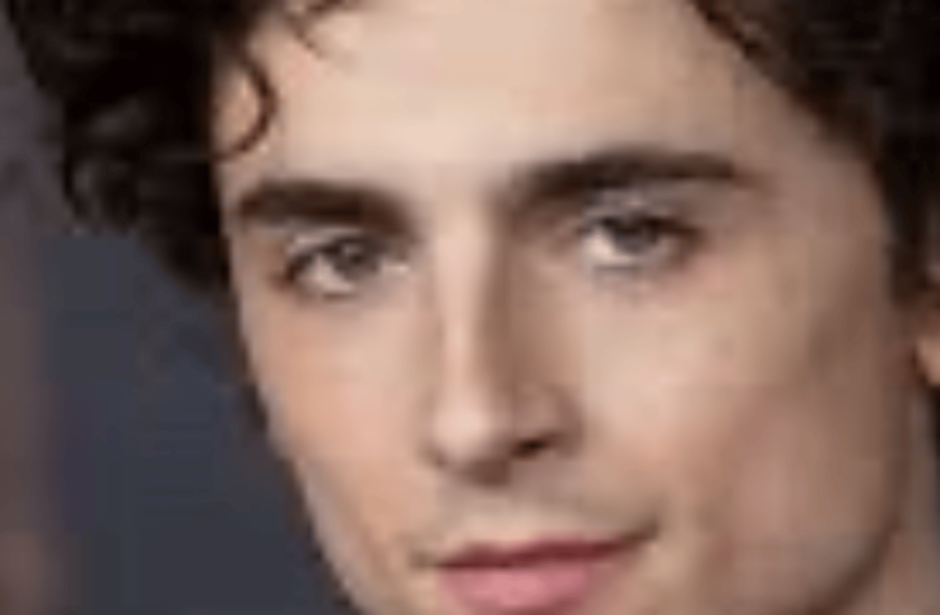 Timothee chalamet
