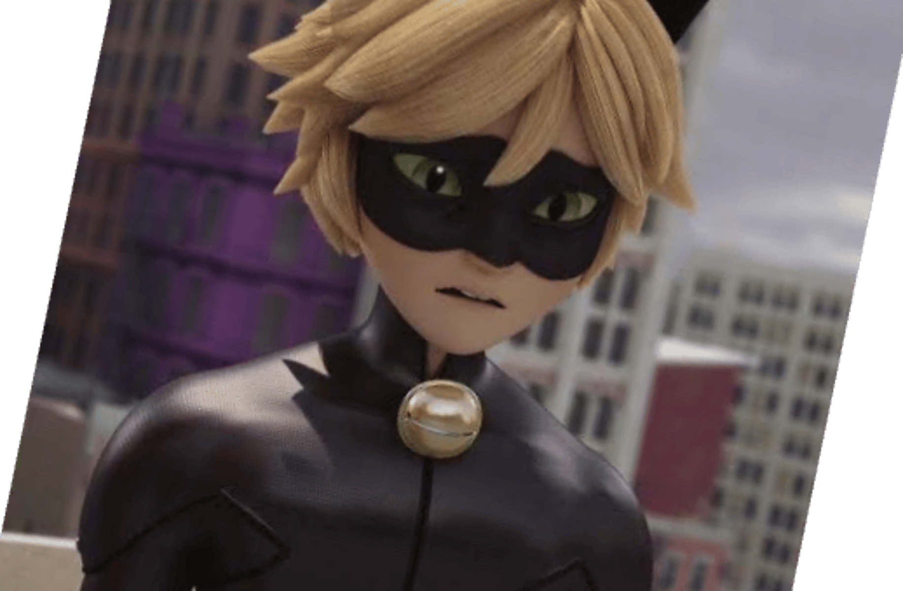 Cat noir