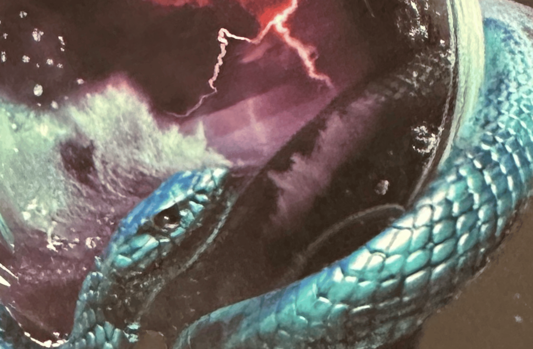 Draco