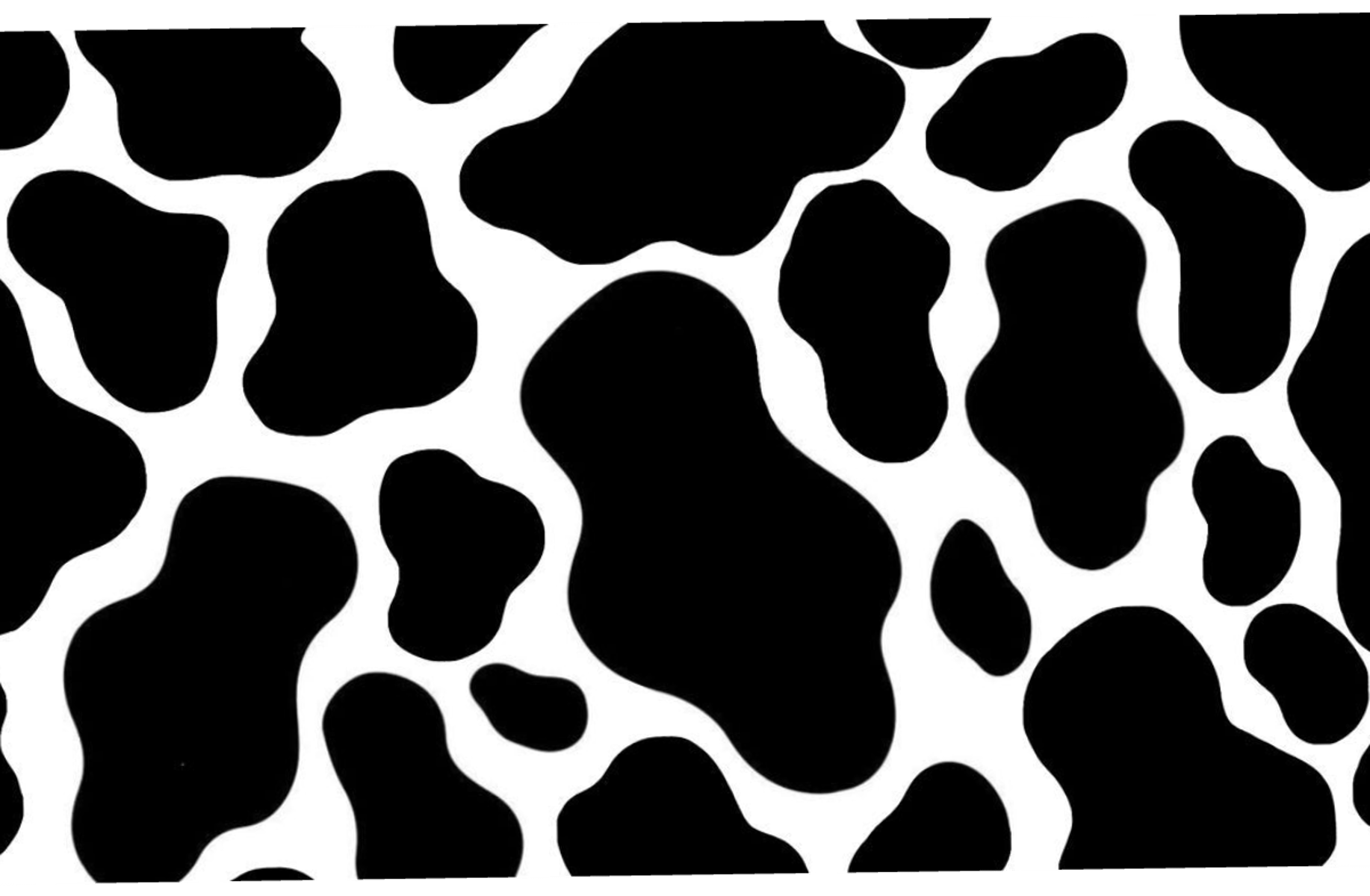Cow-boy Venti