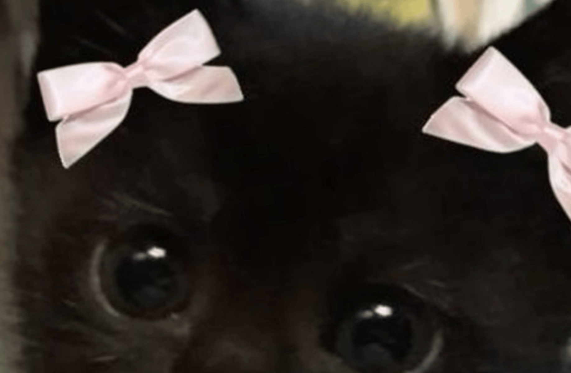 Astro