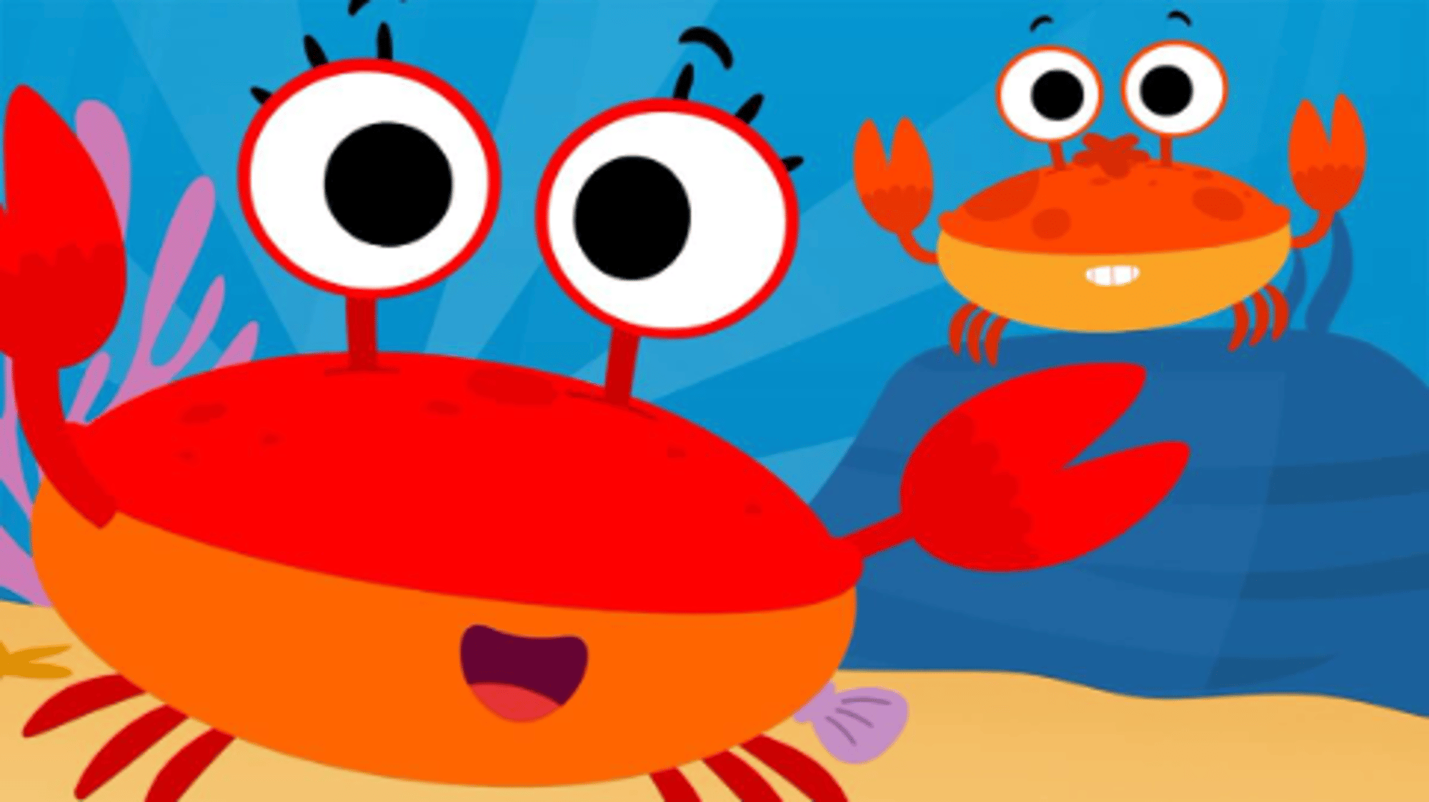 chloe the crab