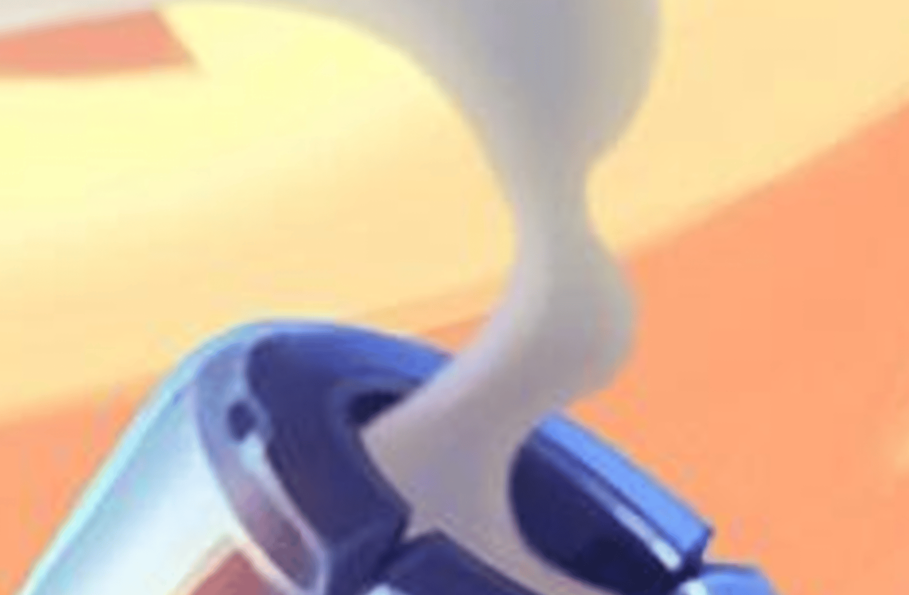 Shelly