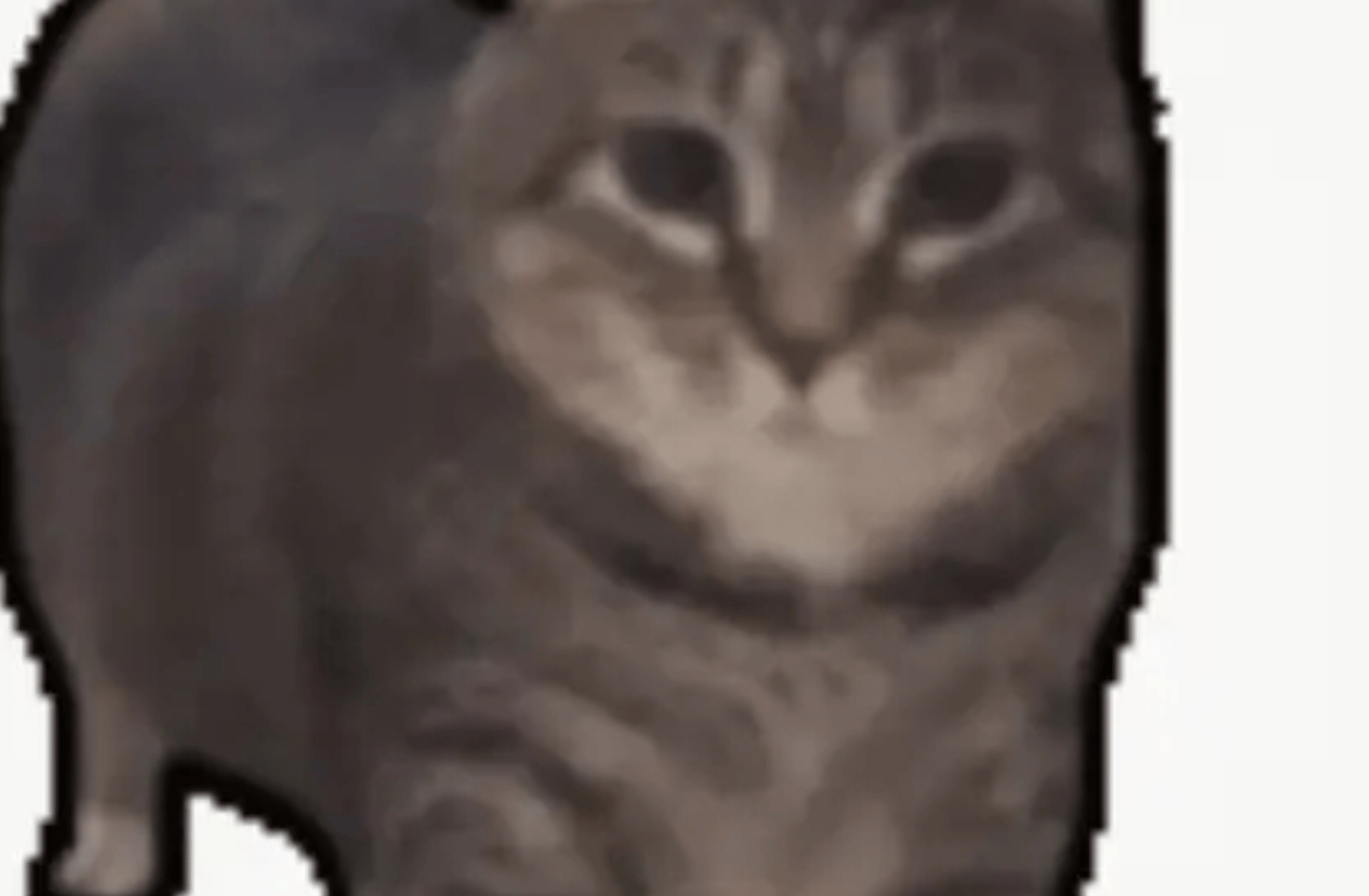 anvatpupsik2018@gmail.com