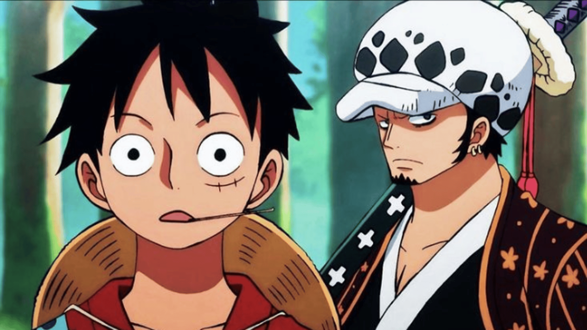 Law and Luffy