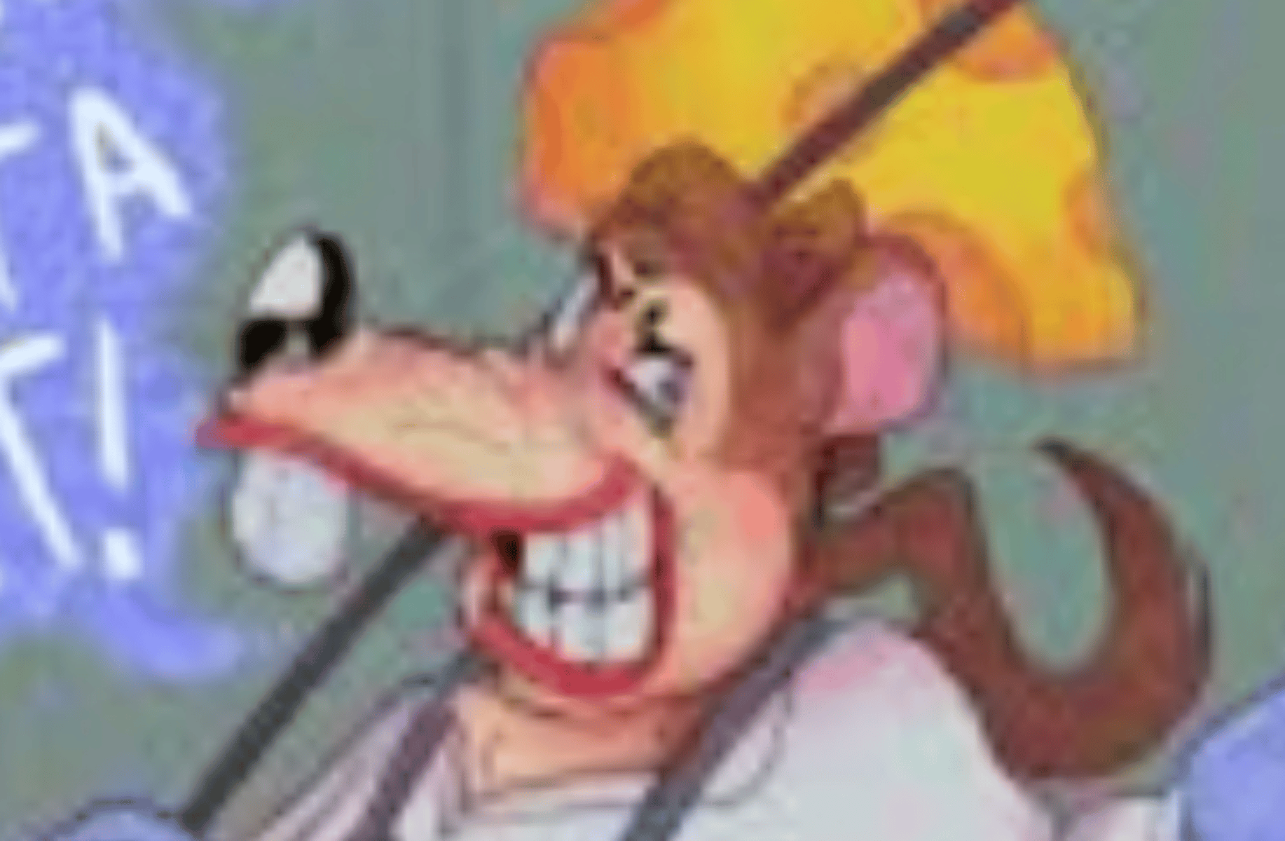 Dr ratflex