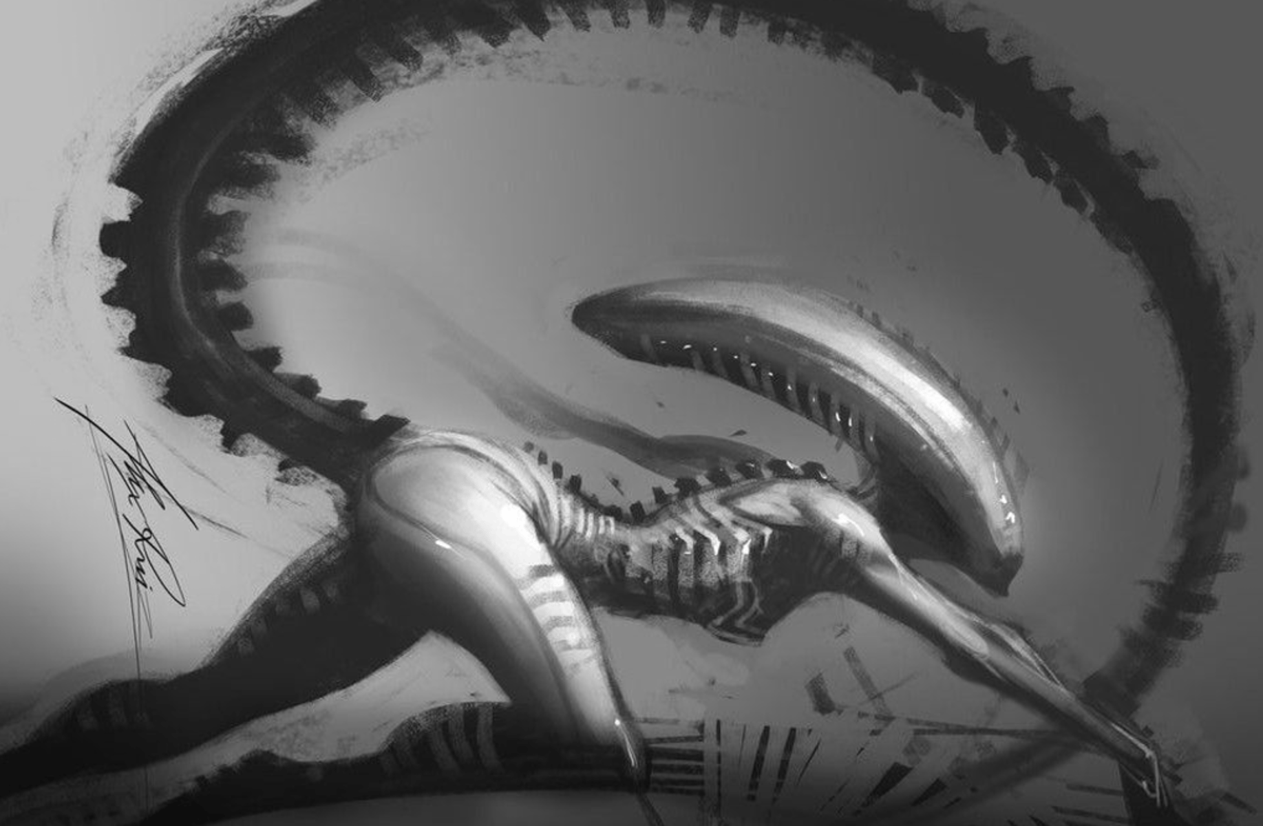 Xenomorph (Female)