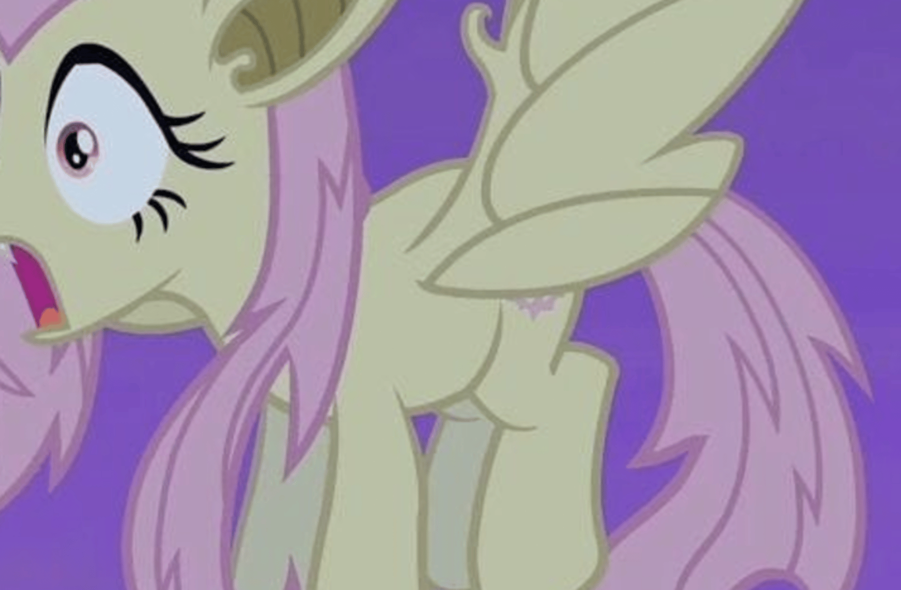 Flutterbat