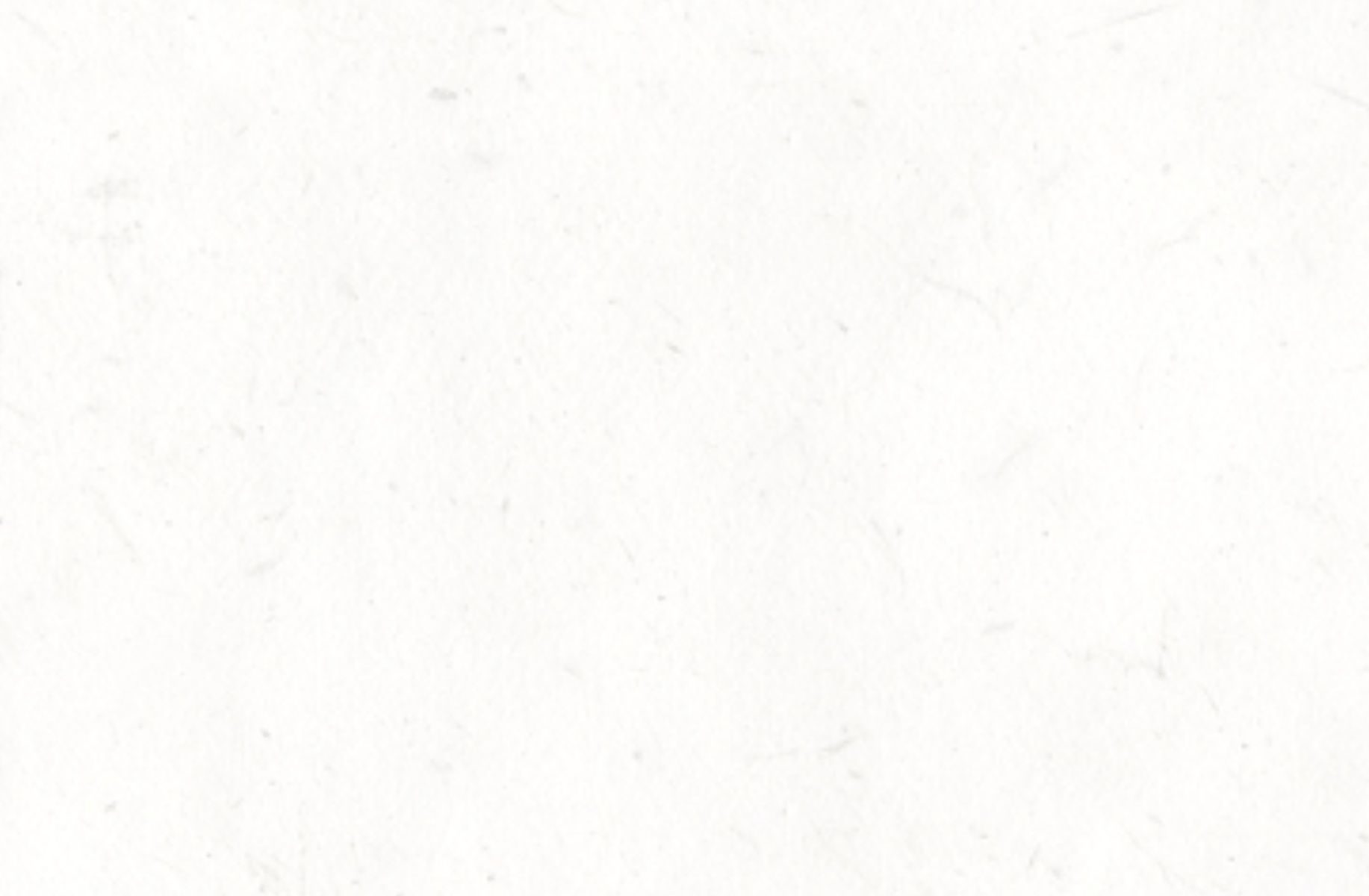 Blank Slate