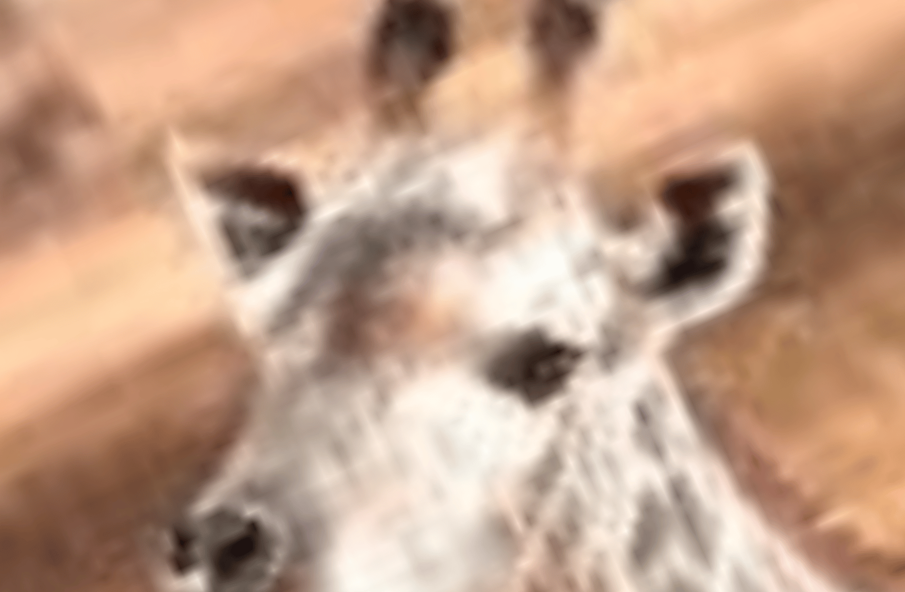 Gote