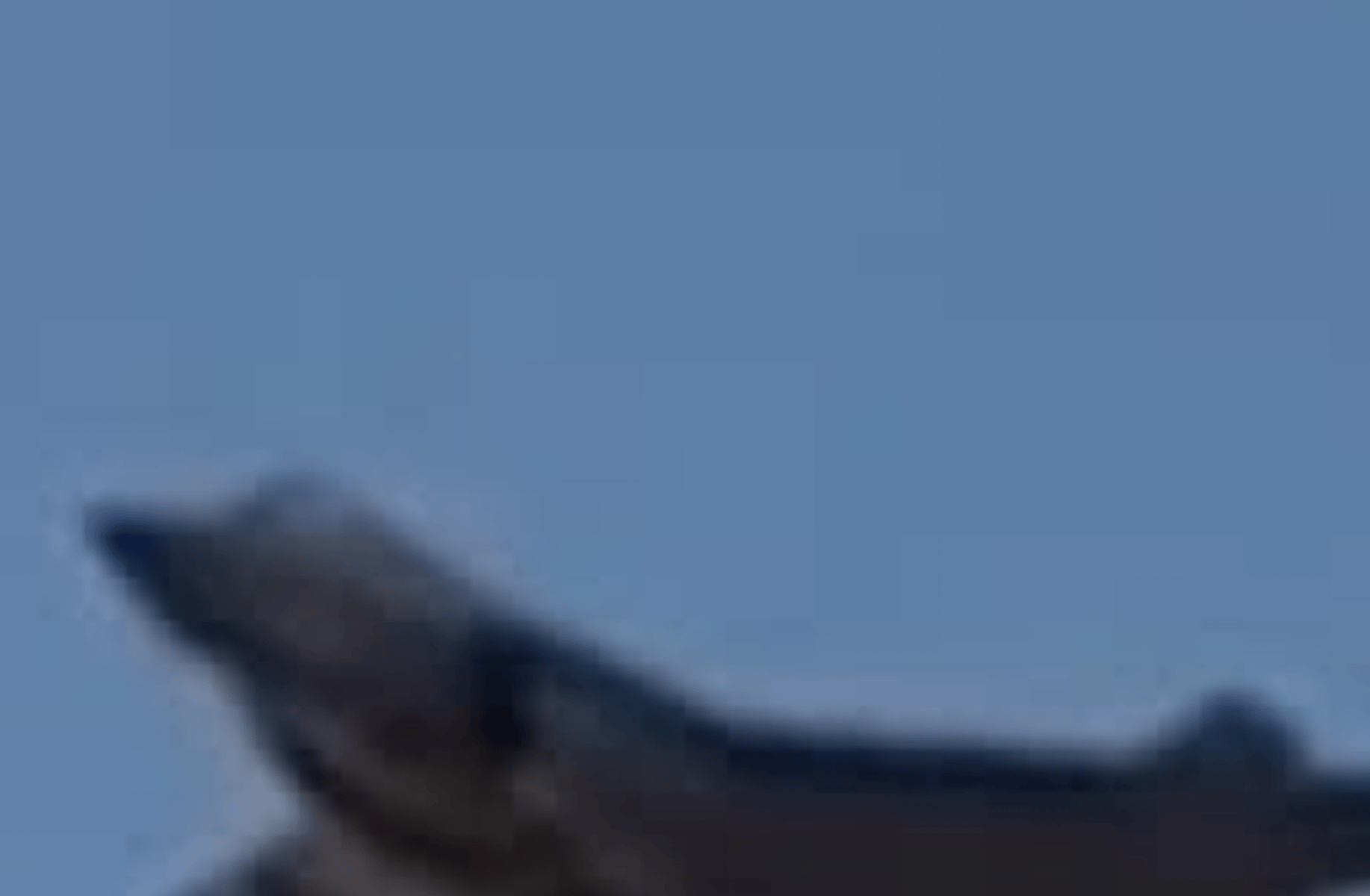 Bob