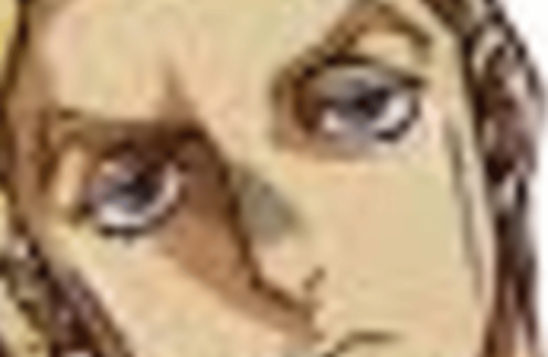 Yoshikage Kira
