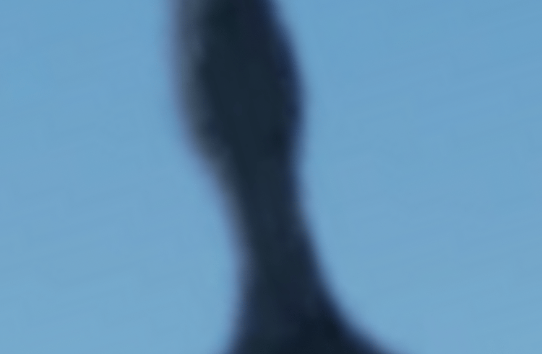 Shadow