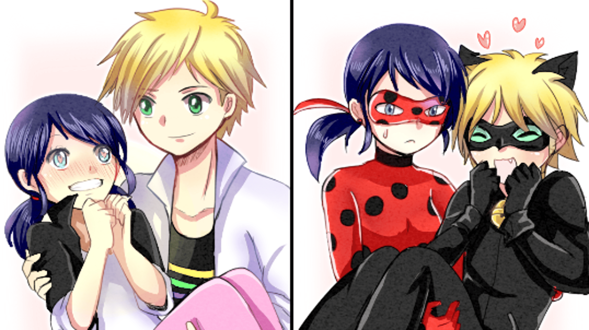 lady bug and cat noir