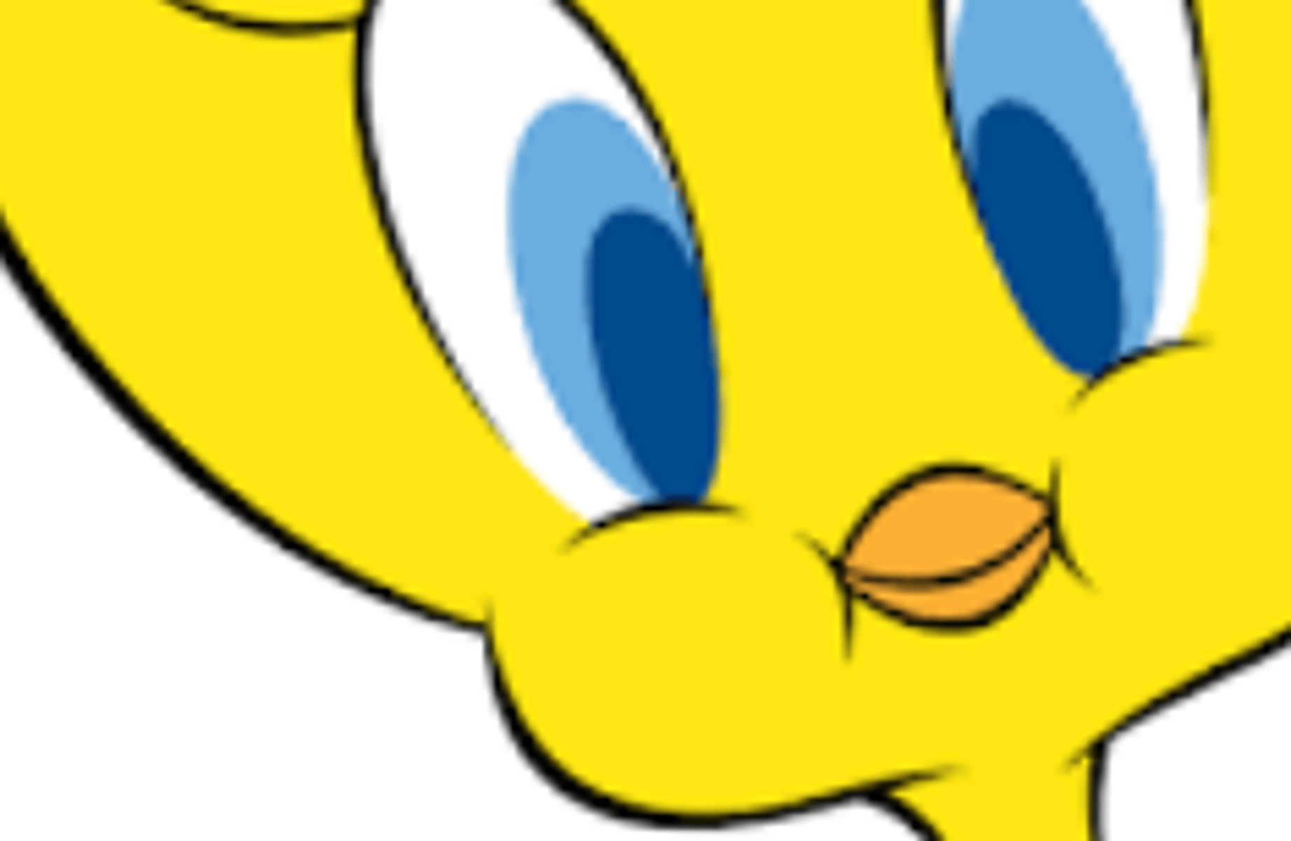 Tweety Bird