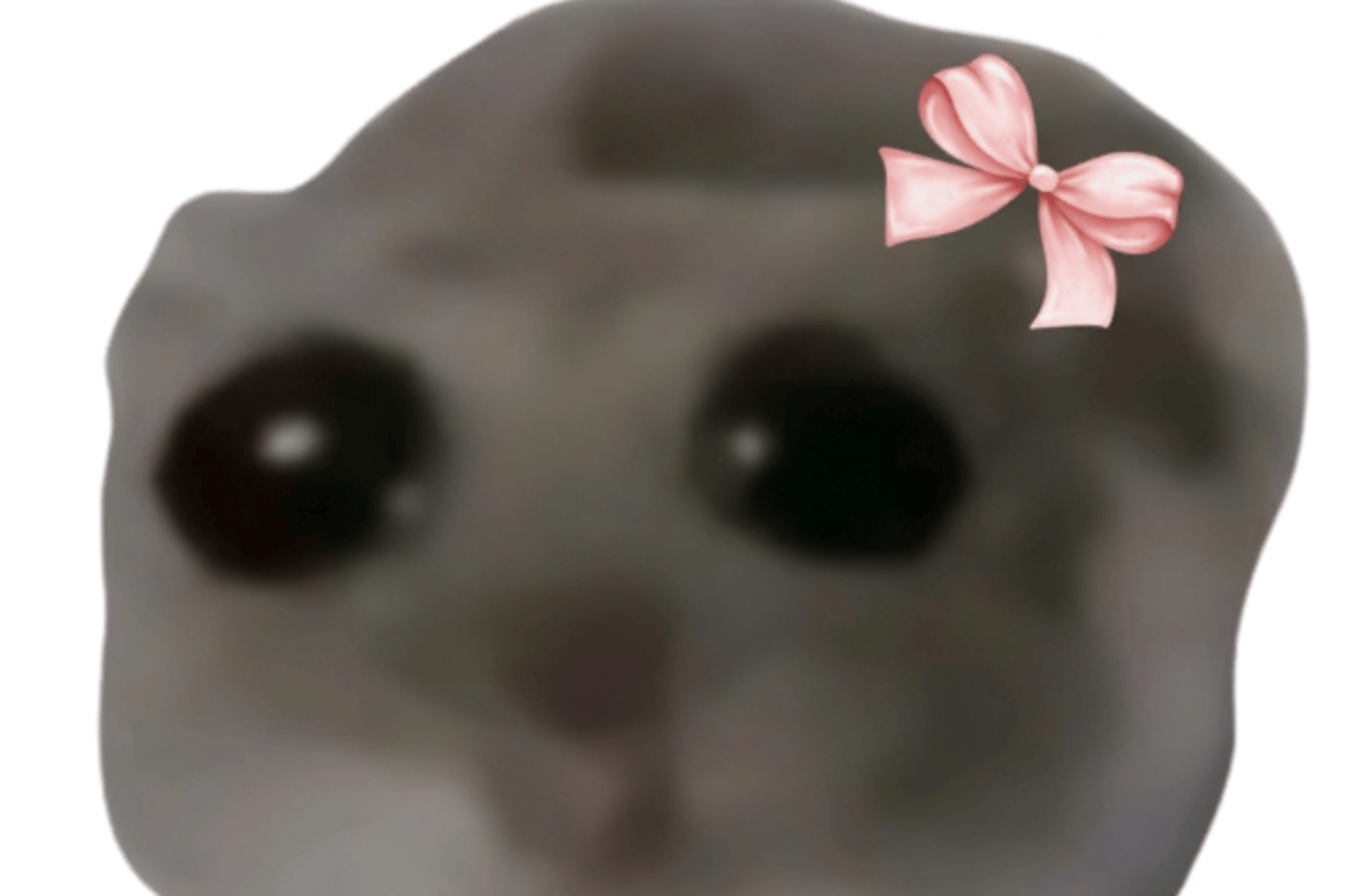 Sad cat