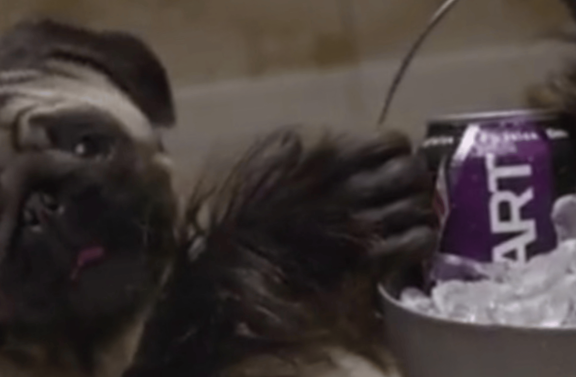 Puppy-Monkey-Baby