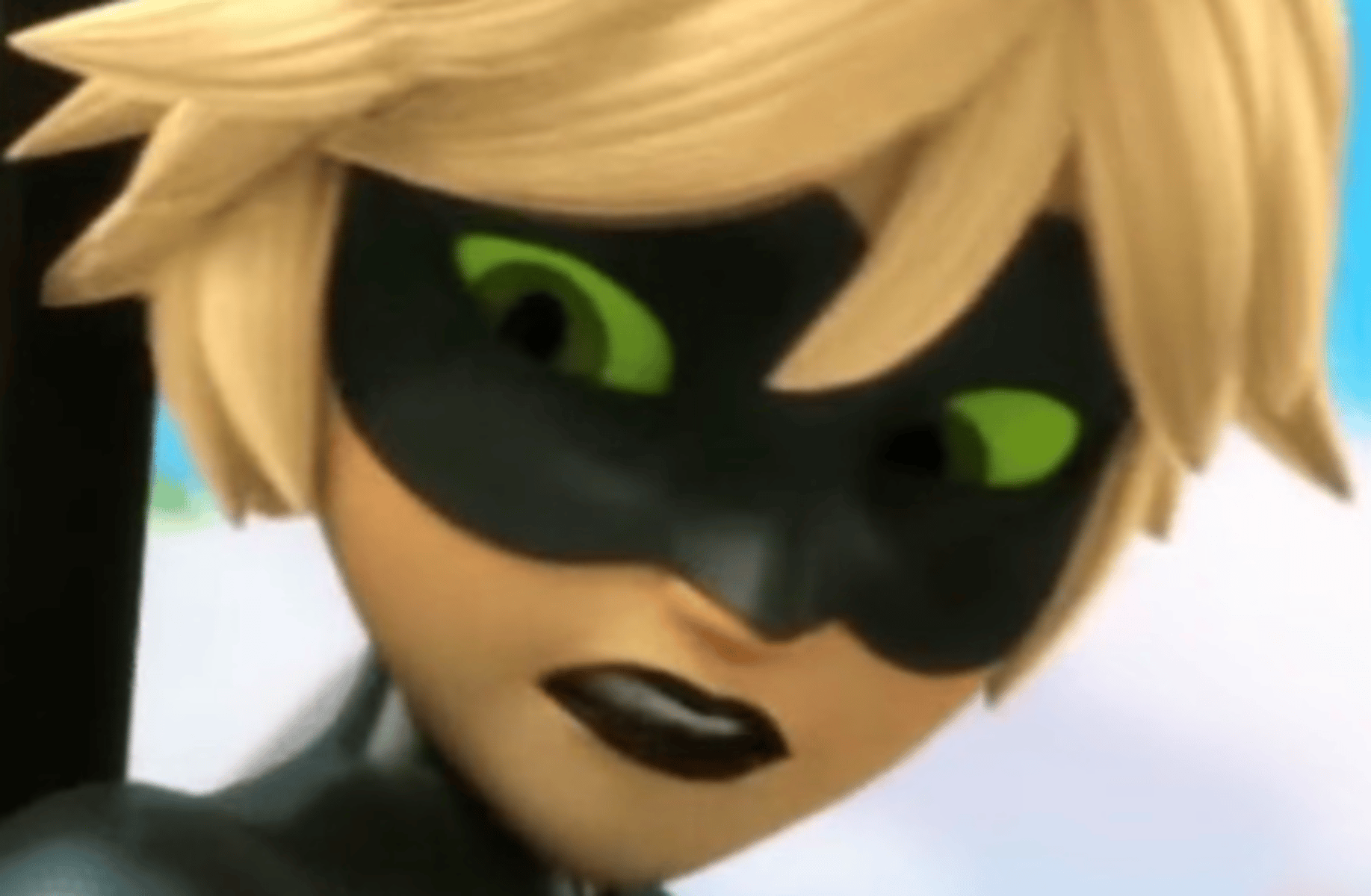 Cat noir (hates u)