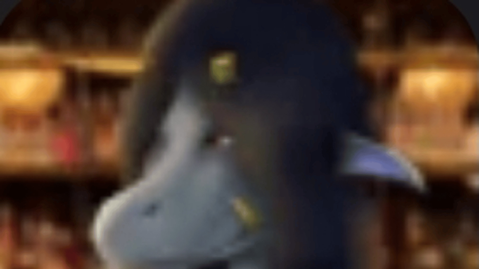 Buta