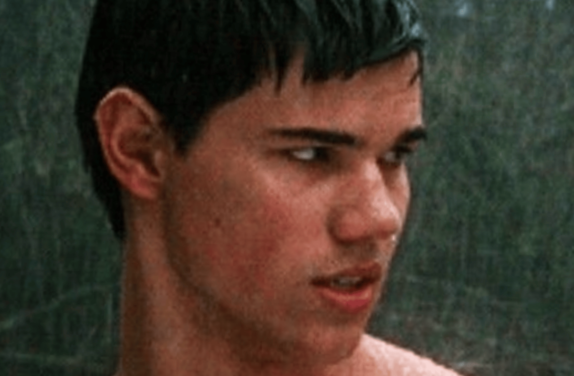 Taylor Lautner