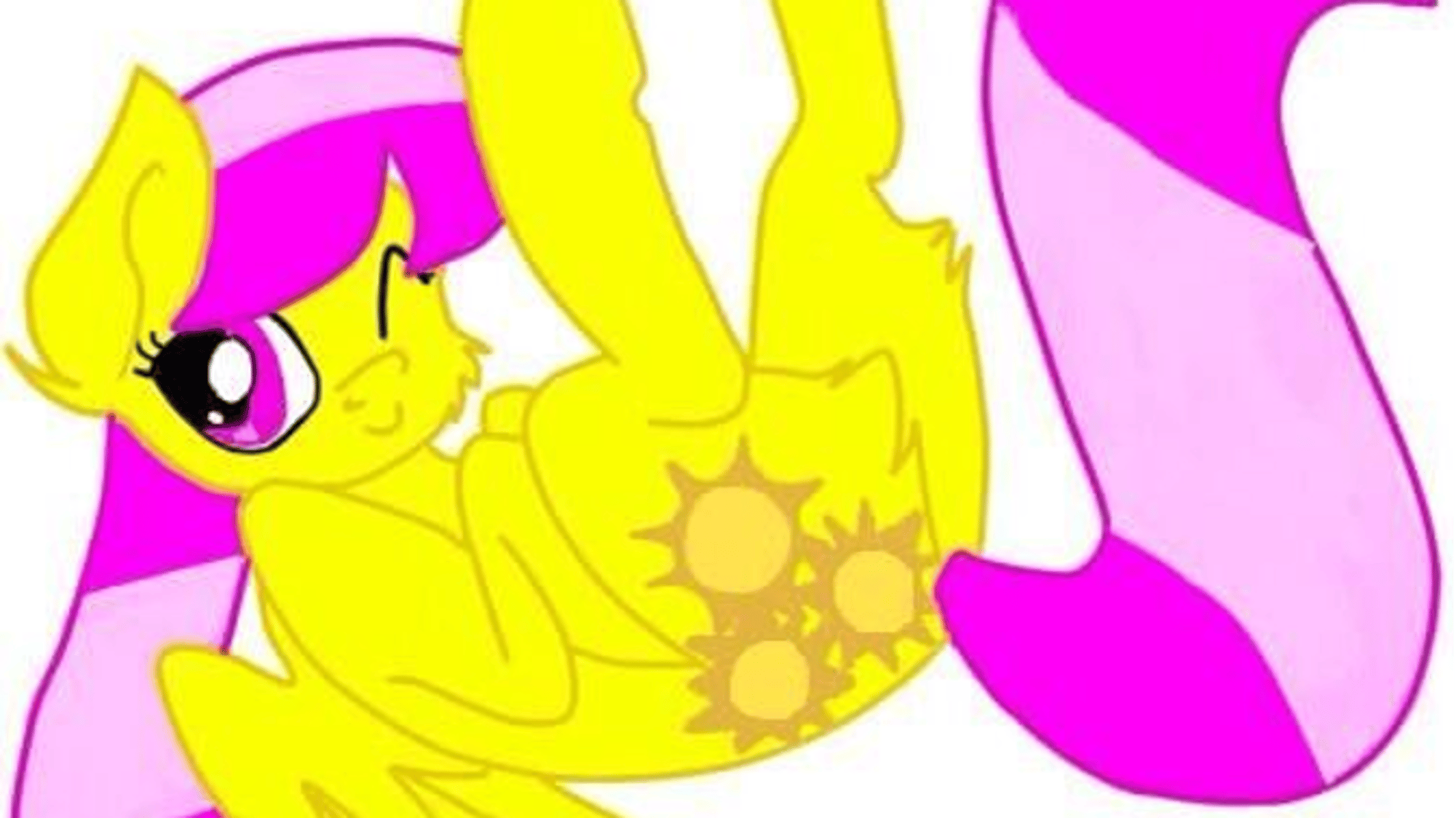 sunny rays