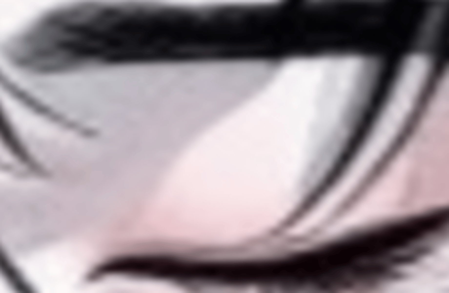 Tsuki