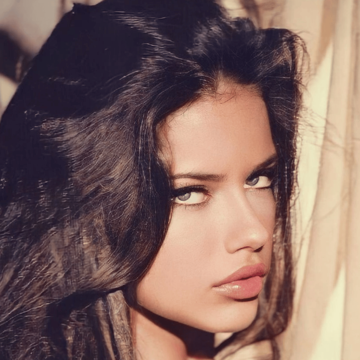 Adriana lima