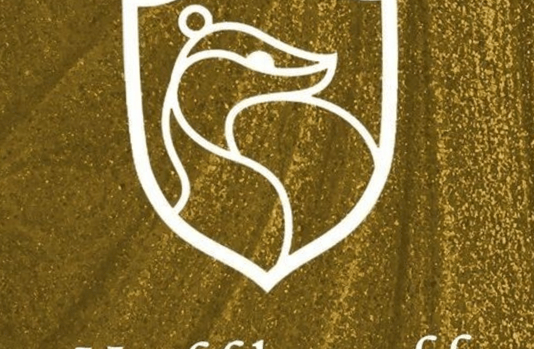 Cedric Diggory