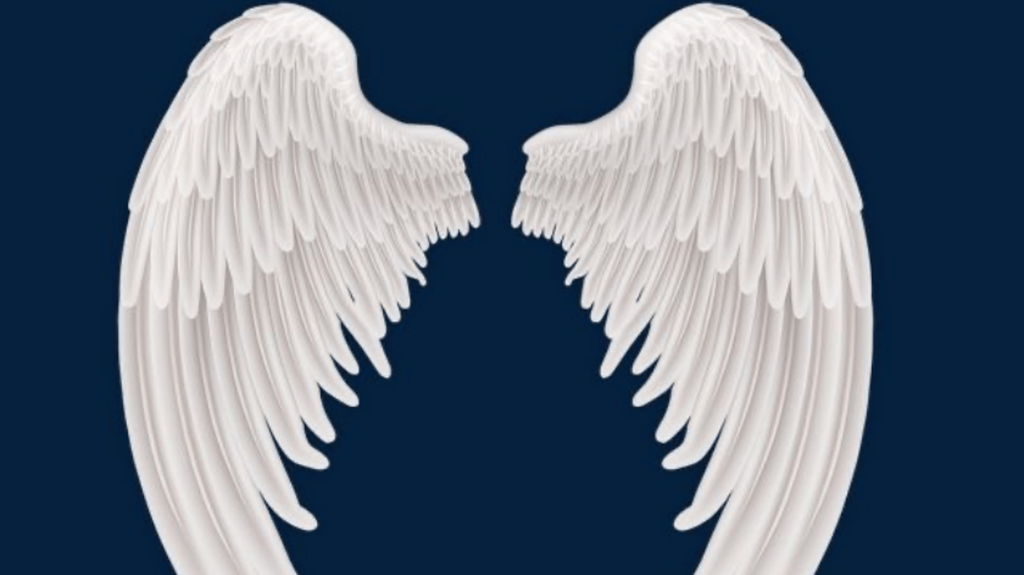 Angel Anwar