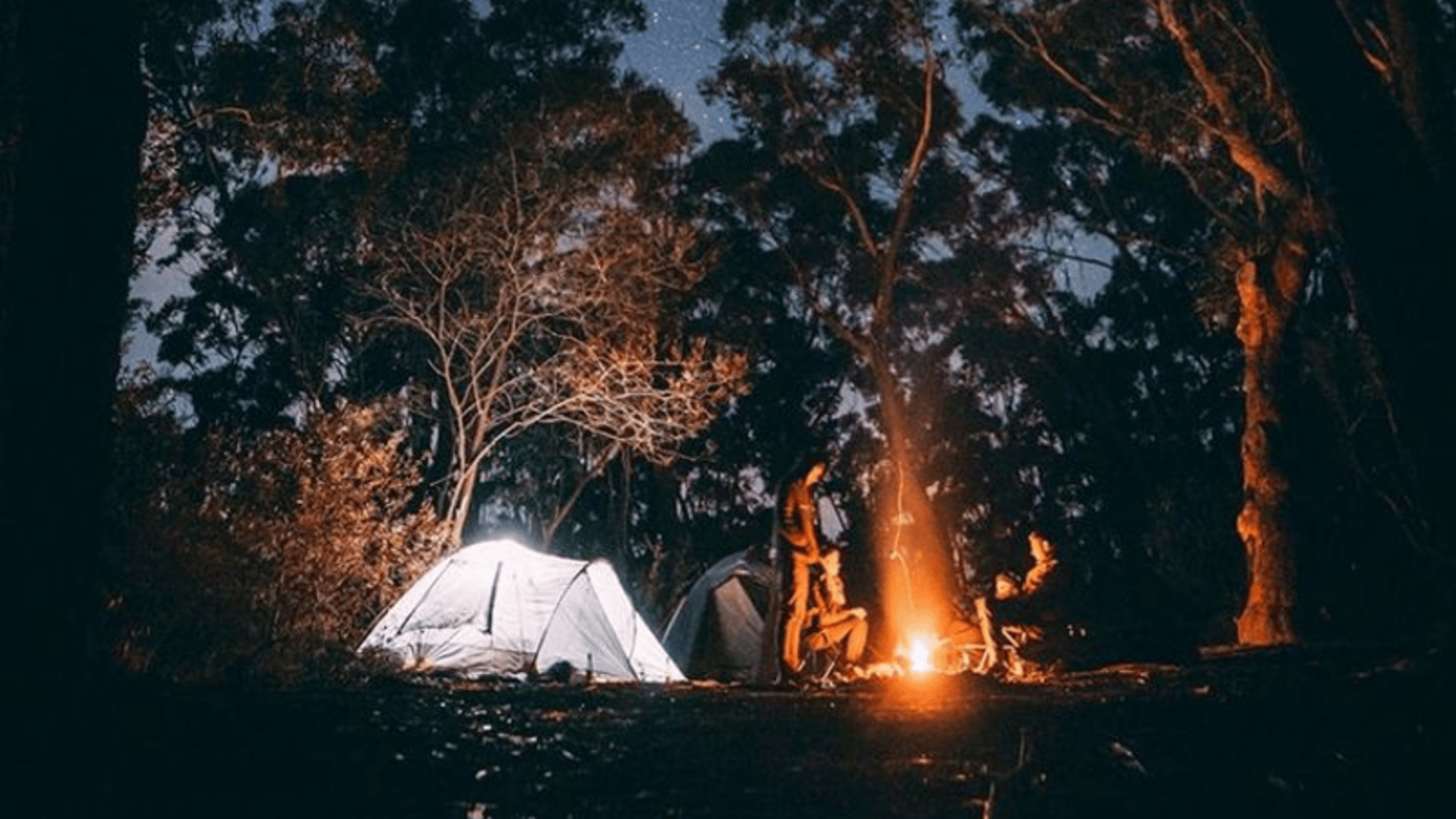 Camp with friends