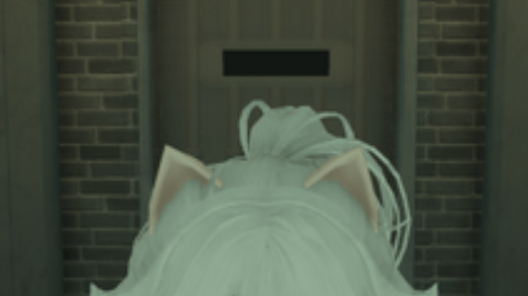Felinor