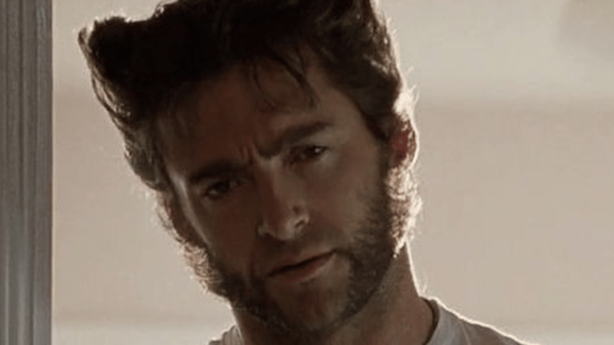 Wolverine