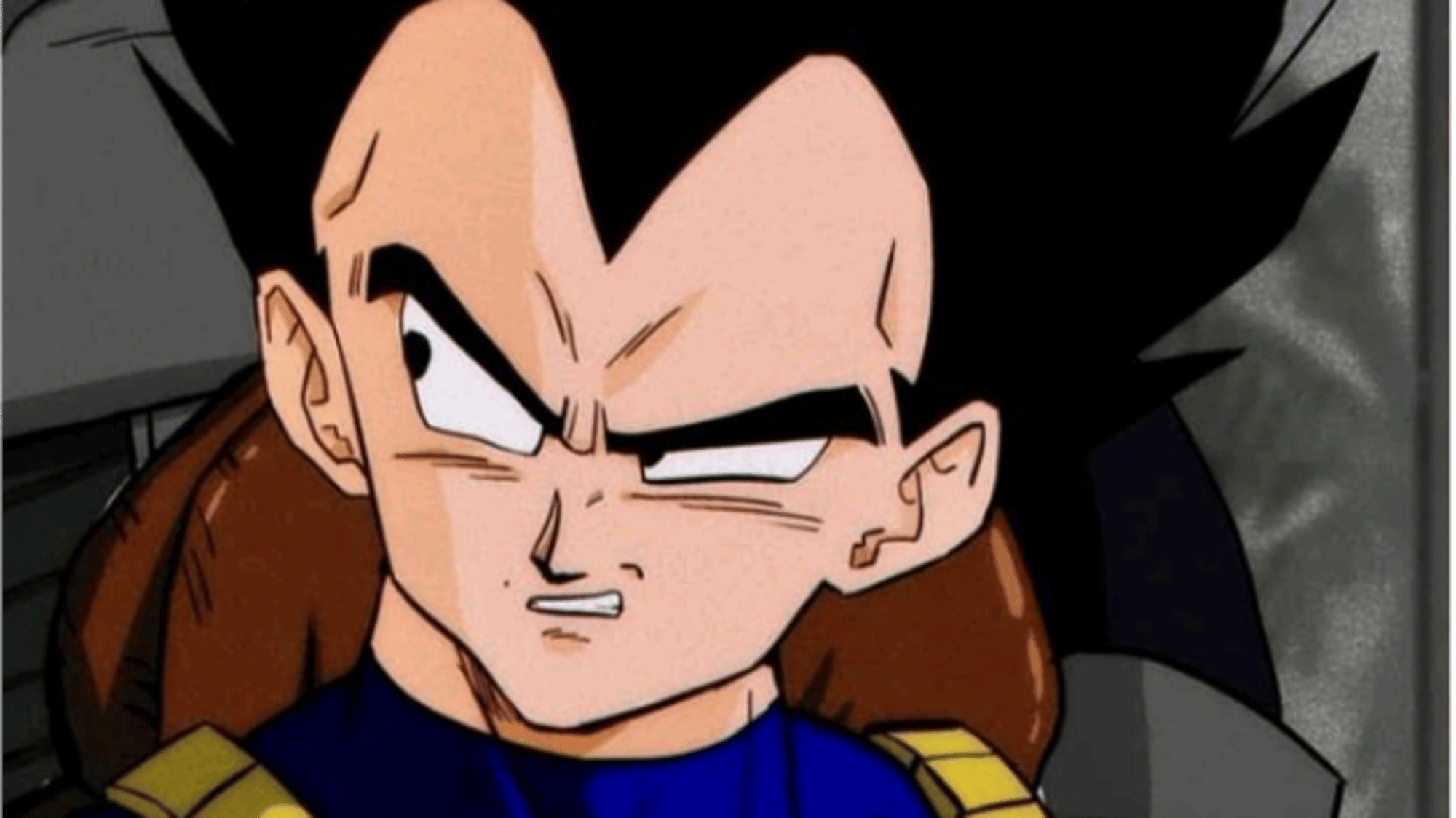 Vegeta 02