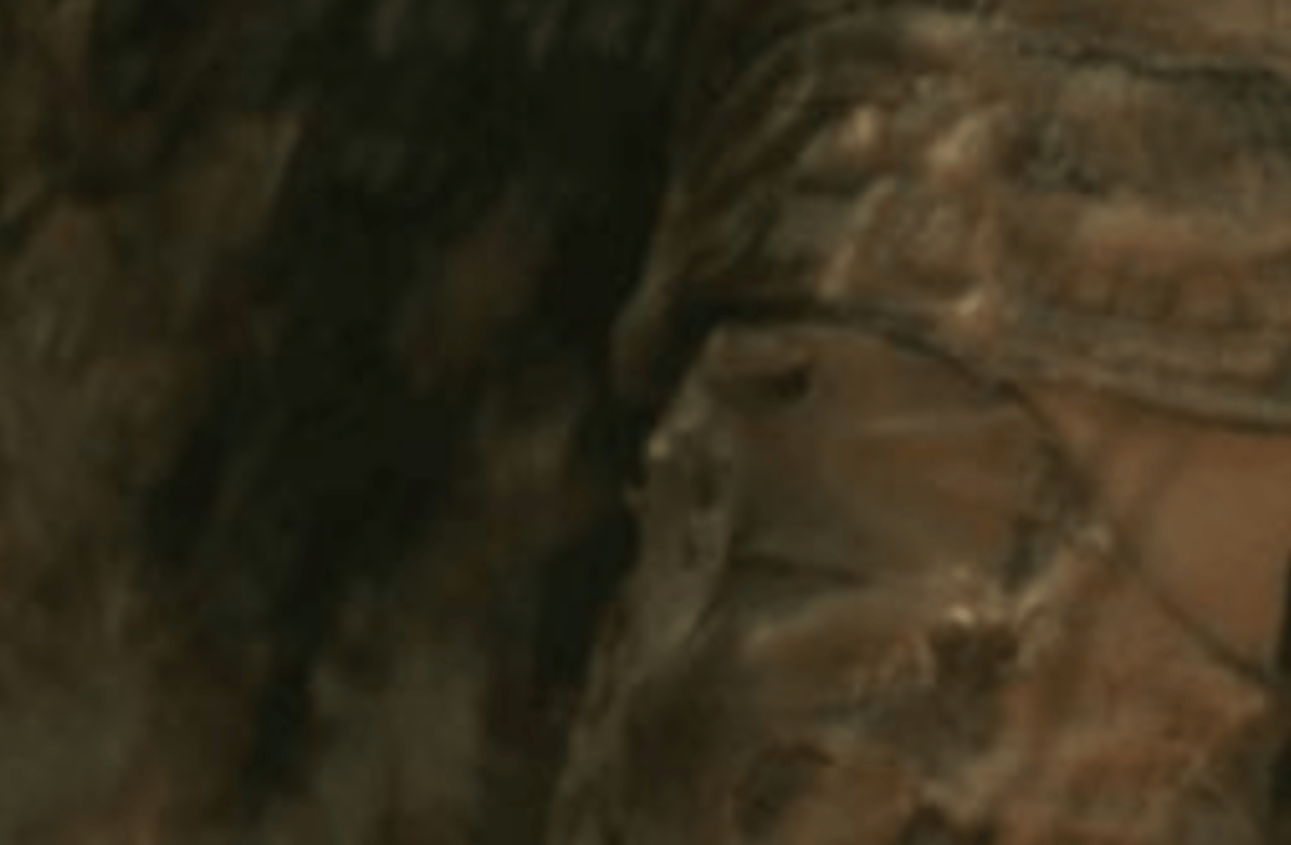 Borra Tundra