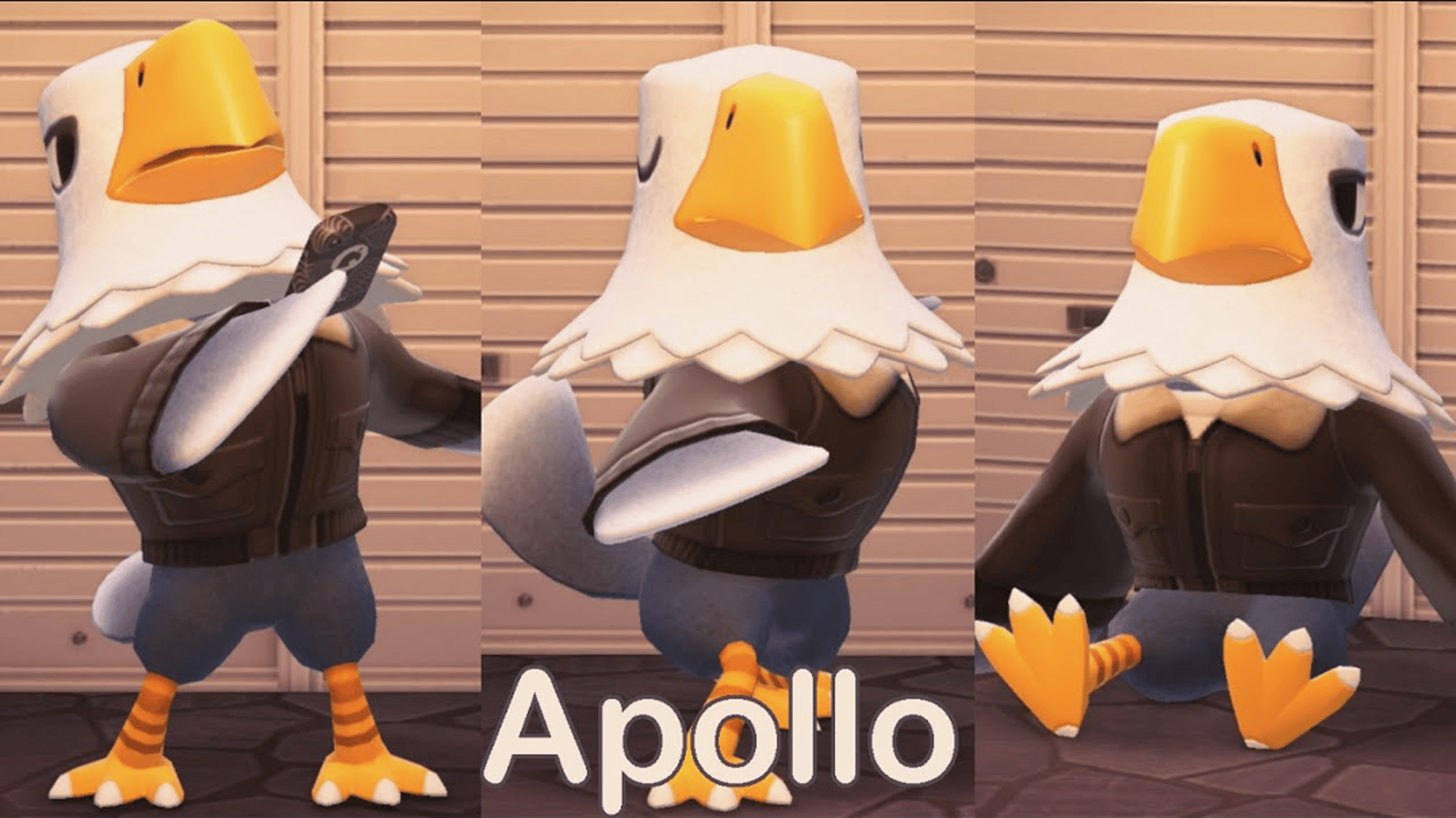 Apollo