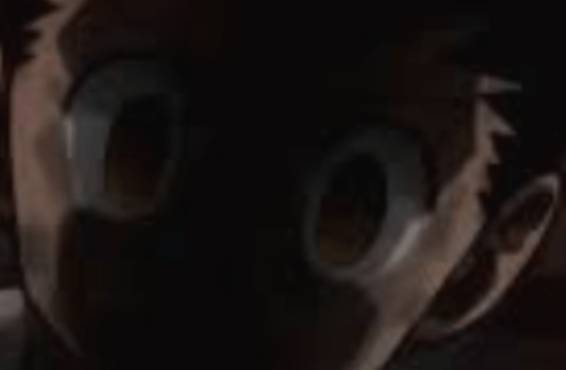 Gon