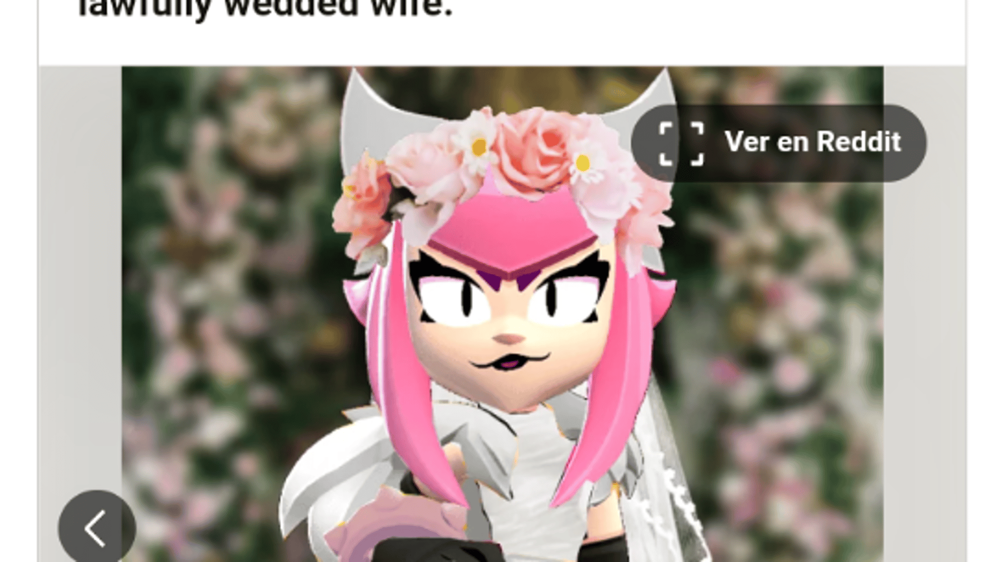 Wife melodie