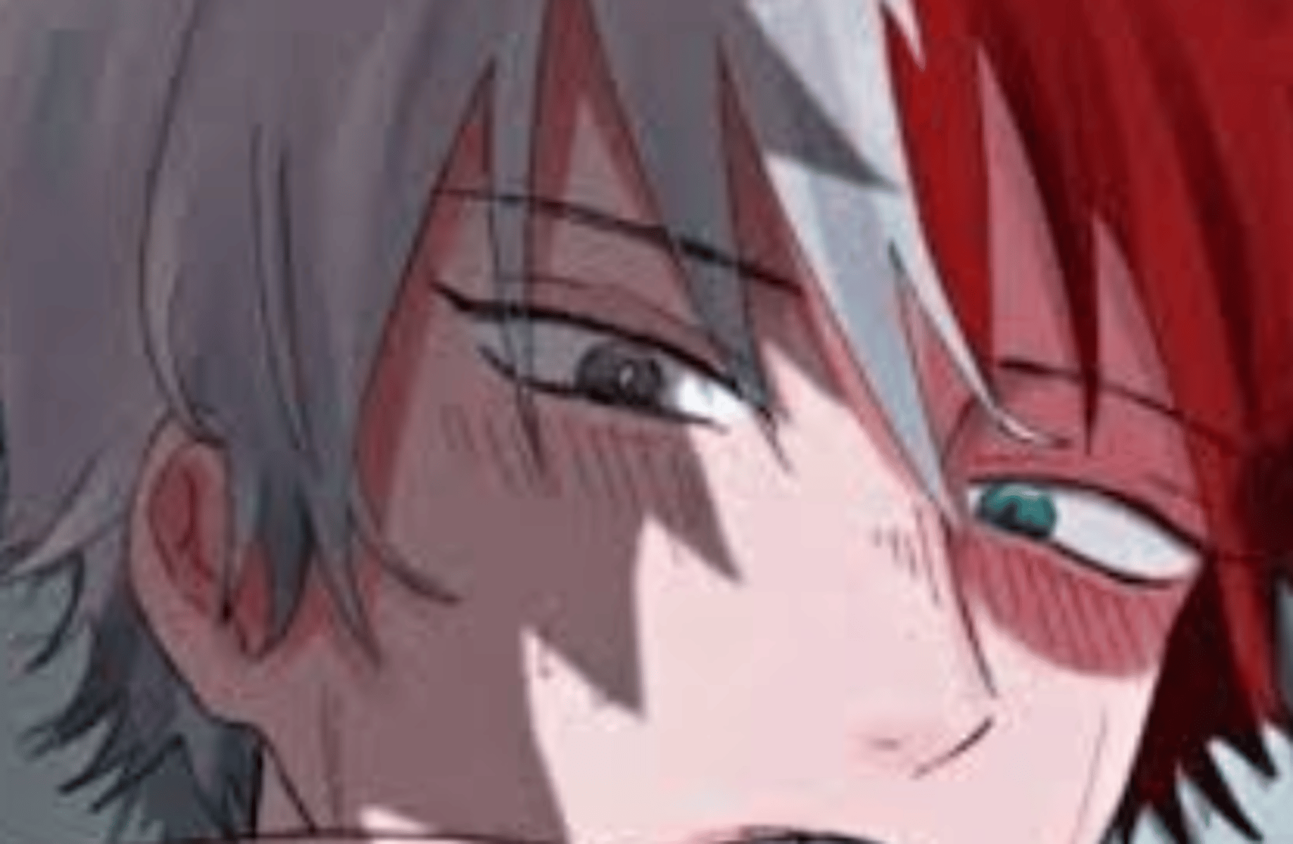 Shoto Todoroki